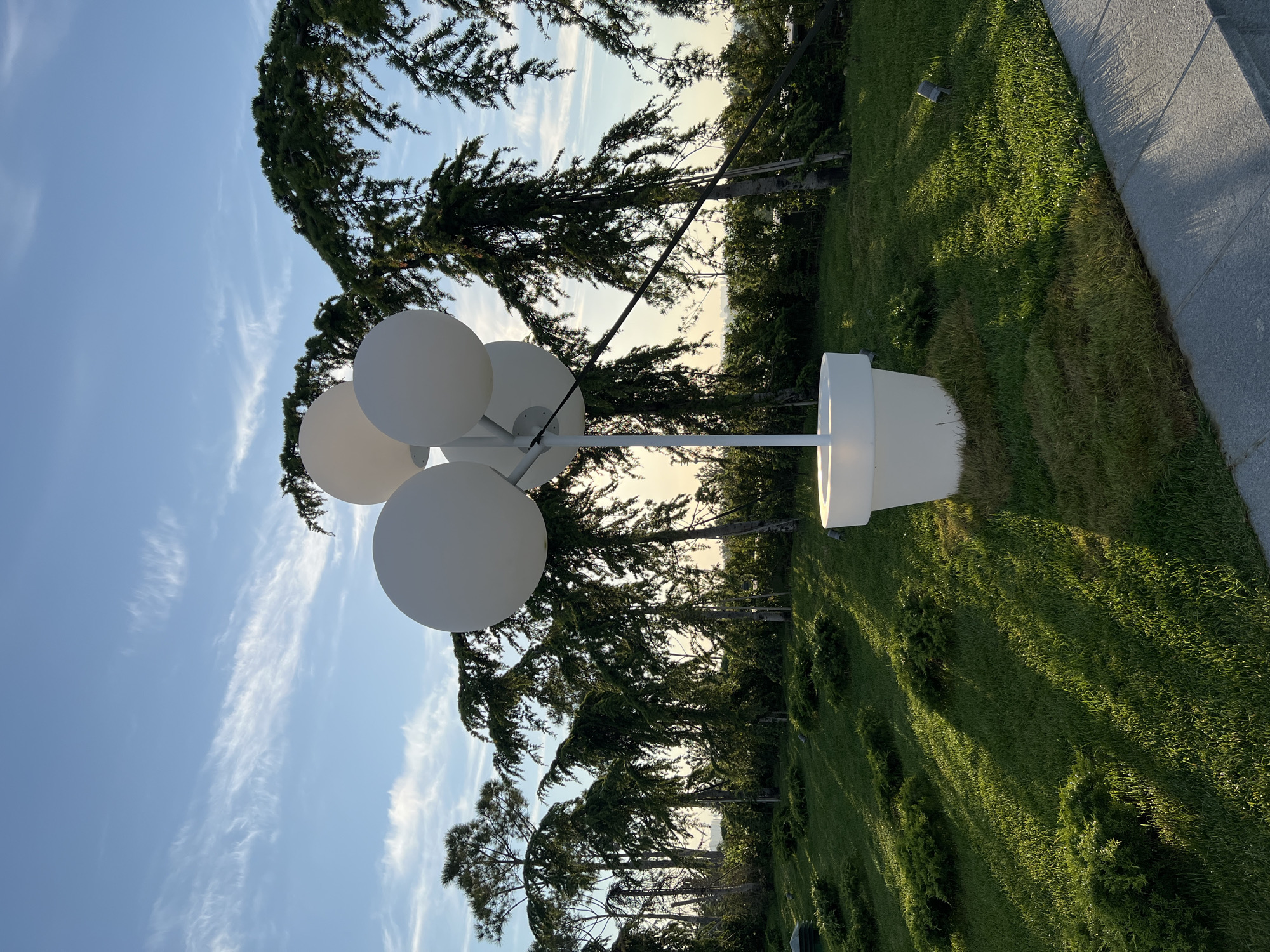 The image captures a modern art installation resembling a large potted plant with white spherical elements at the top, situated in a park-like setting. The sculpture stands in a white, cylindrical pot on a vibrant green lawn. The lawn is dotted with smaller, low-lying green shrubs. Sunlight casts long shadows across the grass, indicating it is either early morning or late afternoon. In the background, several tall, slender trees with drooping branches are visible, creating a natural canopy. The sky above is a clear blue with thin, wispy white clouds. The overall scene suggests an outdoor recreational area or a landscaped public space. The location is identified as Krasnodar, Russia. There are no people visible in the image.