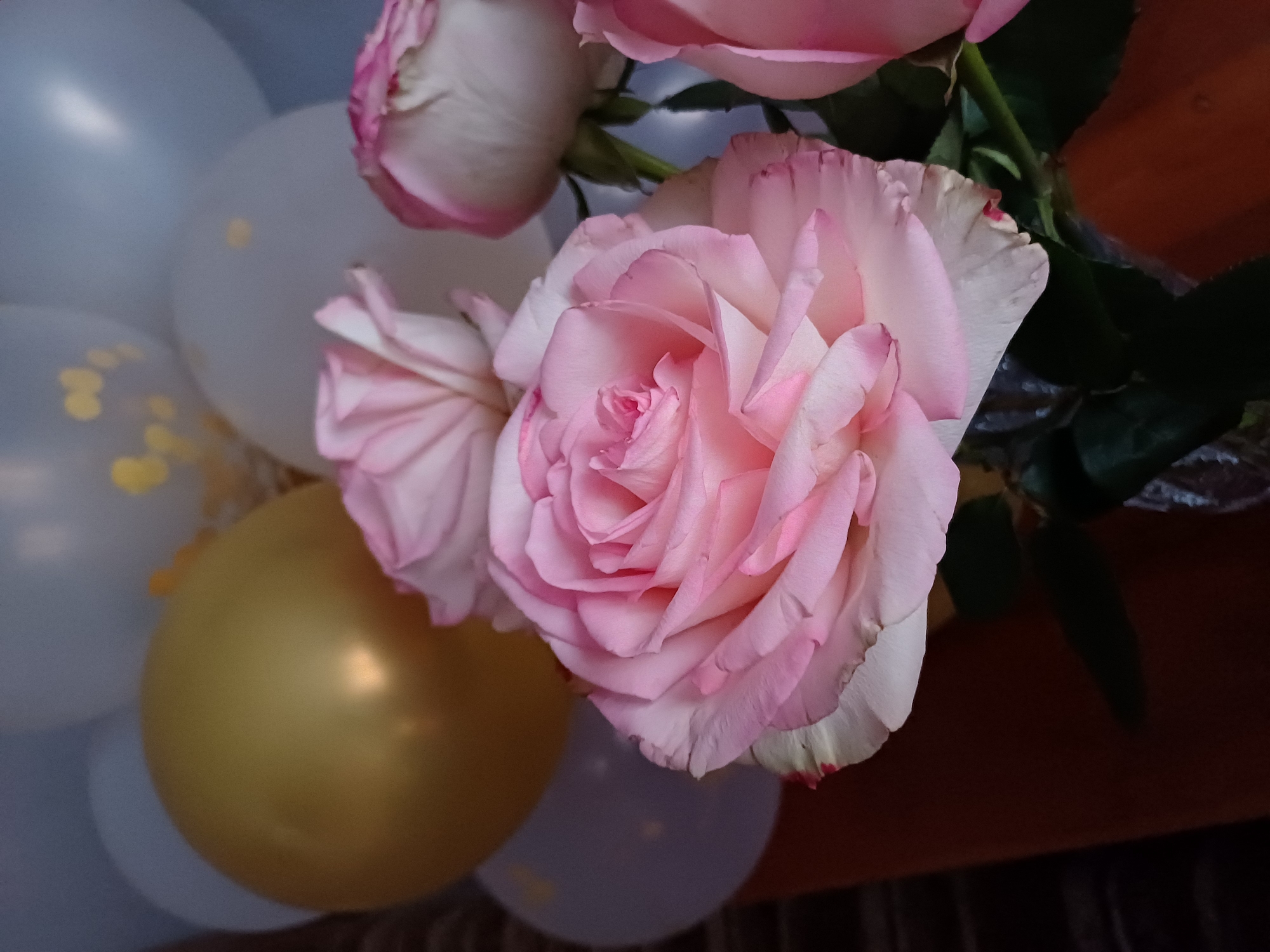 A bouquet of pale pink roses is arranged with several balloons in the background. The roses have delicate, layered petals and some appear to be partially bloomed, while others are more fully open. The balloons are a mix of white and gold, with some of the white balloons featuring subtle gold confetti patterns. The overall scene is soft and celebratory, with the lighting highlighting the textures of the rose petals and the smooth surfaces of the balloons. The background is slightly blurred, drawing the viewer's attention to the floral arrangement and balloons. The location is not specified.