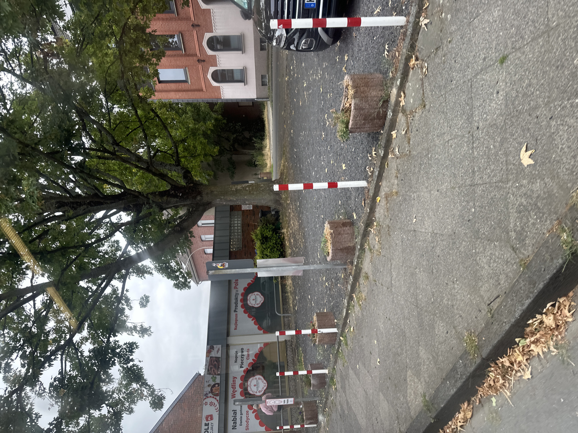 The image depicts a street scene in Krefeld, Germany, likely in front of a business. In the foreground, a sidewalk is visible with scattered dry leaves and some grass. A curb separates the sidewalk from a gravel parking area. Several bollards with red and white stripes are positioned along the edge of the parking area. In the middle ground, a building with a large window display is partially obscured by trees. The window display appears to advertise food products, with text in Polish visible. A person wearing a pink jacket is seen standing near the window. To the right of the building, a black car is parked. In the background, a red brick building with arched windows is visible. The overall environment suggests an outdoor commercial area with a mix of nature and urban elements.