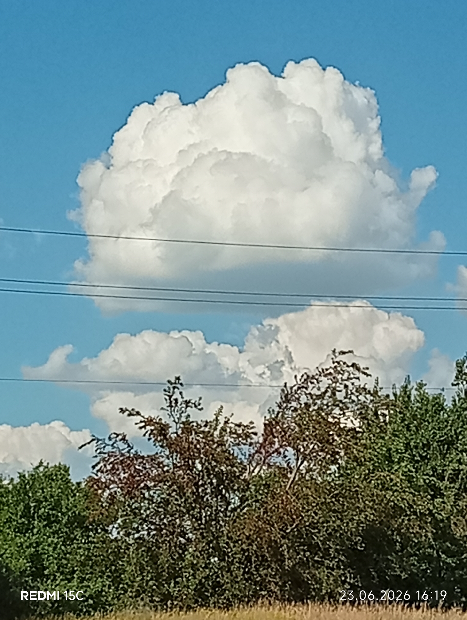 The image shows a landscape with a bright blue sky filled with white cumulus clouds. There are power lines stretched horizontally across the sky. Below the sky, there is a dense line of trees with varying shades of green and some with reddish-brown foliage. The bottom of the image shows a field of dry grass. The timestamp "23.06.2026 16:19" and "REDMI 15C" are visible in the lower right and left corners respectively, indicating the date, time, and device used to capture the photo. The scene appears to be an outdoor, rural or suburban environment, likely taken during daylight hours. It is not possible to determine the specific location within Mykolaivka, Ukraine from the image alone.