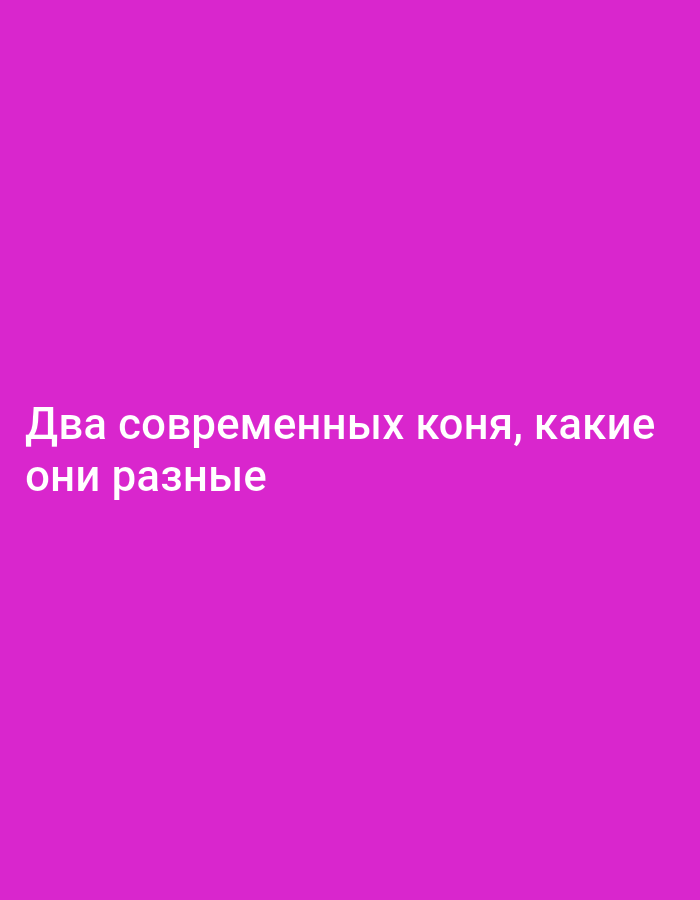 The image contains text on a solid magenta background. The text, written in white, reads "Два современных коня, какие они разные". This translates from Russian to "Two modern horses, how different they are." There are no people, objects, or any discernible elements related to the city of Bitonto, Italy. The image is purely typographic.