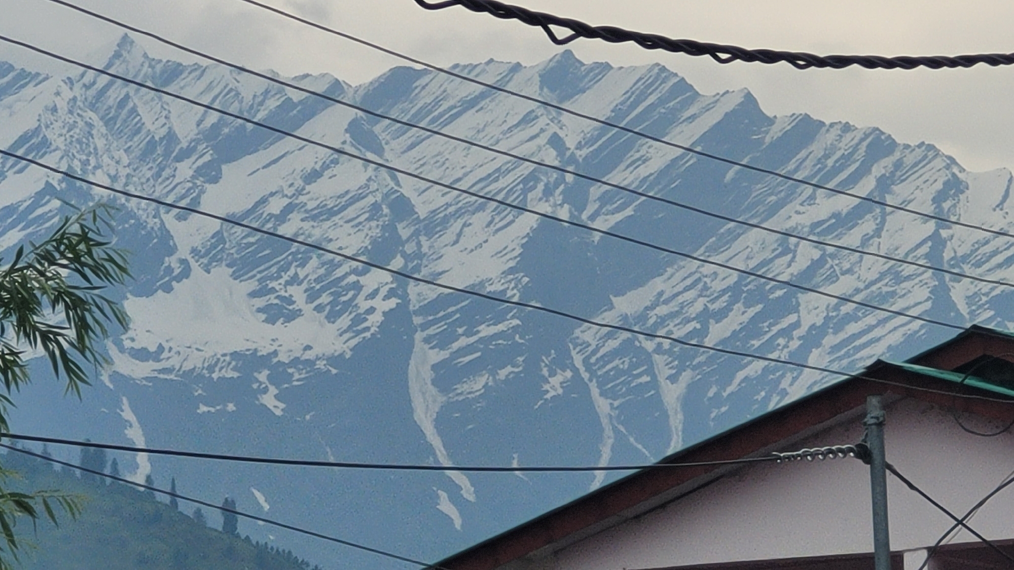 In Vashisht, India, a landscape photo captures a majestic snow-capped mountain range viewed through a network of dark electrical wires. The mountains, with their jagged peaks and snow-dusted slopes, dominate the background. In the foreground, a portion of a building with a dark roof is visible. To the left, a branch with green leaves extends into the frame, adding a touch of nature to the scene. The sky is overcast, casting a soft light on the landscape.