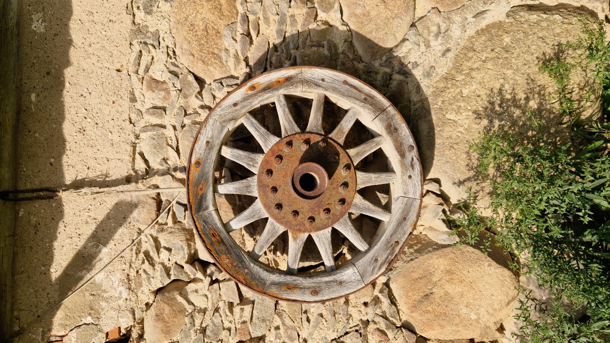 The image shows a weathered wooden wagon wheel with a rusty metal hub mounted on a stone wall. The wall is constructed from rough-hewn stones of varying sizes and colors, cemented together with a sandy mortar. Above the wall, a dark wooden beam casts a shadow. The wagon wheel itself has wooden spokes radiating from the central hub, and its wooden rim is reinforced with a rusted metal band. Several rusted bolts secure the metal band to the rim. Below the wagon wheel, a patch of green foliage with small leaves is growing against the base of the wall. The lighting suggests it is daytime, with sunlight casting distinct shadows. There is no indication of people or specific actions taking place. The setting appears to be outdoors, possibly in a rural or historical area, and given the context of Tāši, Latvia, it is likely an exterior wall of a building or structure in that location.