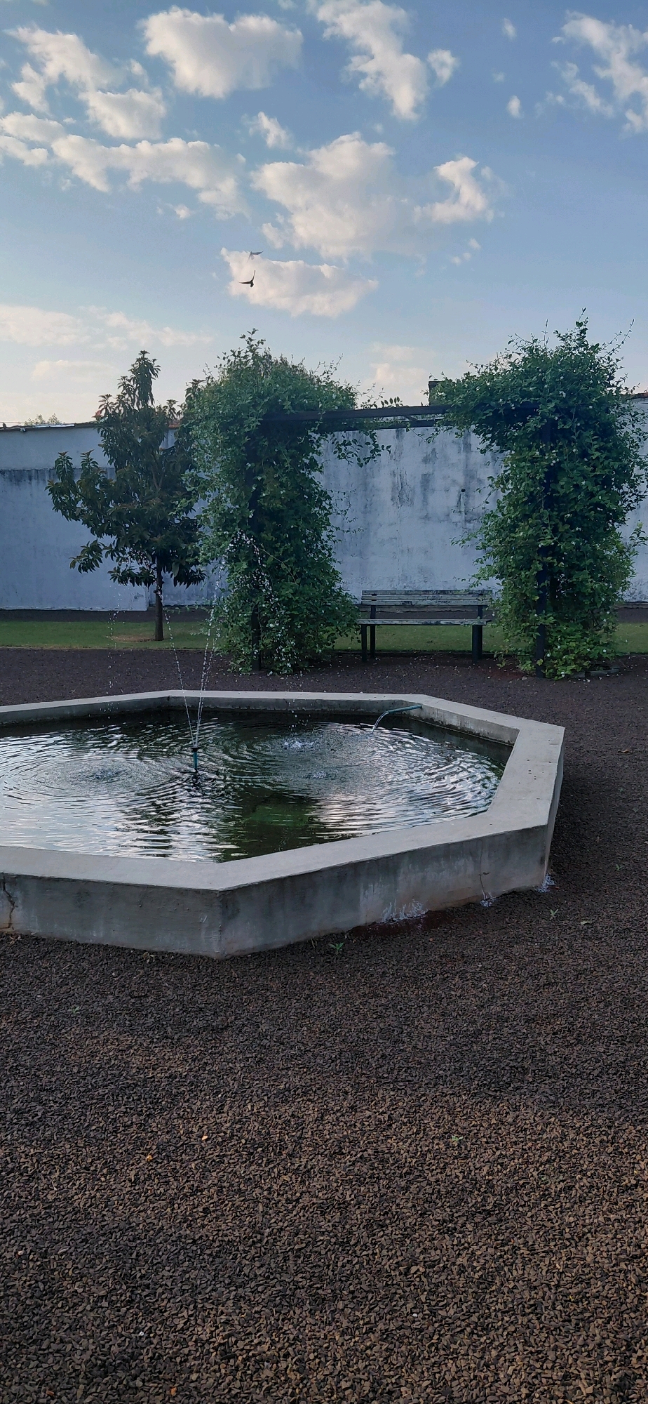 An outdoor scene in Presidente Franco, Paraguay features a hexagonal concrete fountain in the foreground, with water jets creating ripples. The ground surrounding the fountain is covered in dark gravel. Behind the fountain, a white, textured wall serves as a backdrop. To the left of the wall, a small tree with dark green leaves is visible. To the right, two vine-covered trellises arch over a wooden park bench. In the sky above, two birds are in flight, with scattered white clouds against a pale blue sky. The lighting suggests it is either early morning or late afternoon.