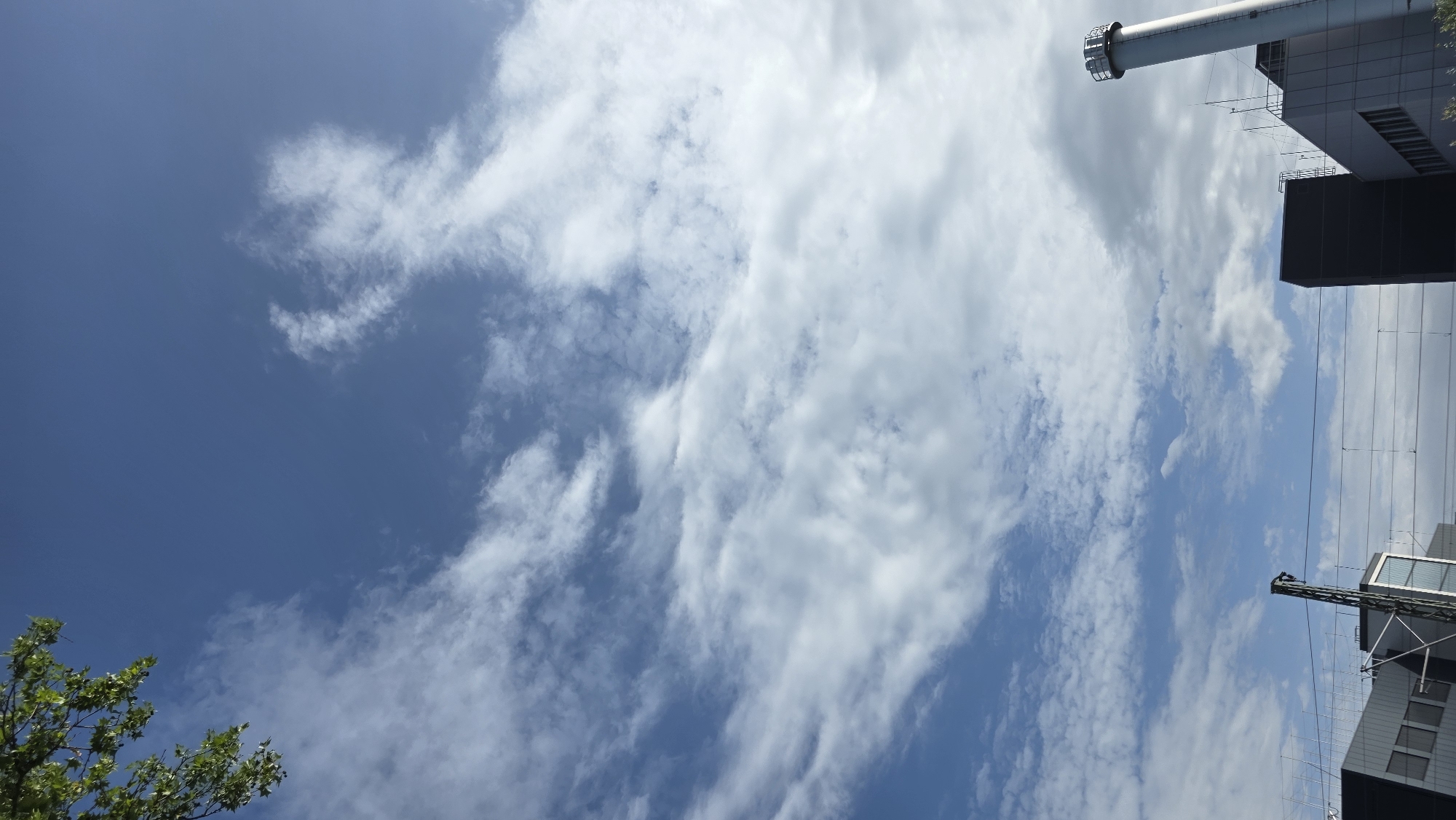 A vertical, low-angle shot captures a bright, overcast day with a partly cloudy sky dominating the frame. In the upper left corner, the green leaves of a tree hang into the frame, partially obscuring the sky. The clouds are white and wispy, with some areas of denser cloud cover, and they stretch across the sky. In the lower portion of the image, the tops of modern industrial buildings are visible. These buildings have dark facades and some have white vertical pipes or chimneys. Power lines and poles are also visible between the buildings, indicating an urban or industrial setting. The overall impression is that of a clear, but not entirely sunny, day in an industrial area.