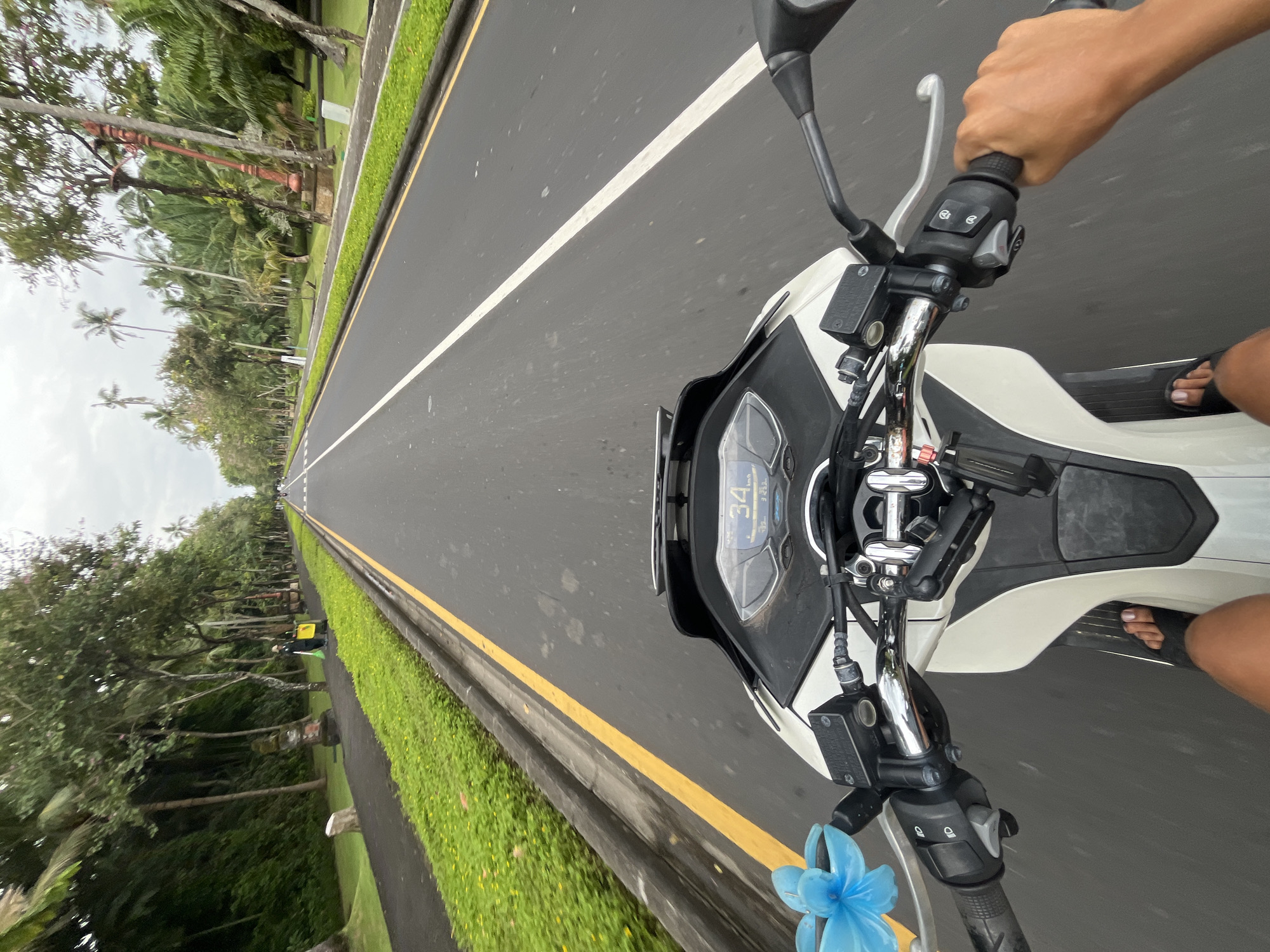 The image captures a first-person perspective from someone riding a white scooter on a paved road. The rider's right hand is visible gripping the handlebar, while their right foot, wearing a dark sandal, rests on the scooter's footrest. The digital dashboard of the scooter displays a speed of "34 km/h" and a mileage reading of "253.x km". A small blue plastic decorative item, possibly a flower, is attached to the left handlebar.
The road ahead features a white dashed lane line and a continuous yellow line running along the right edge, separating the main lane from a grassy verge. Both sides of the road are bordered by lush, vibrant green grass and dense tropical vegetation. Numerous tall palm trees and other broadleaf trees line the route, creating a verdant tunnel effect. Some decorative red-painted posts or structures are interspersed within the foliage on the left side of the road. The sky is overcast, indicating cloudy weather during daylight hours. The scene depicts a serene journey through a tropical landscape, characteristic of Kuta Selatan, Indonesia.