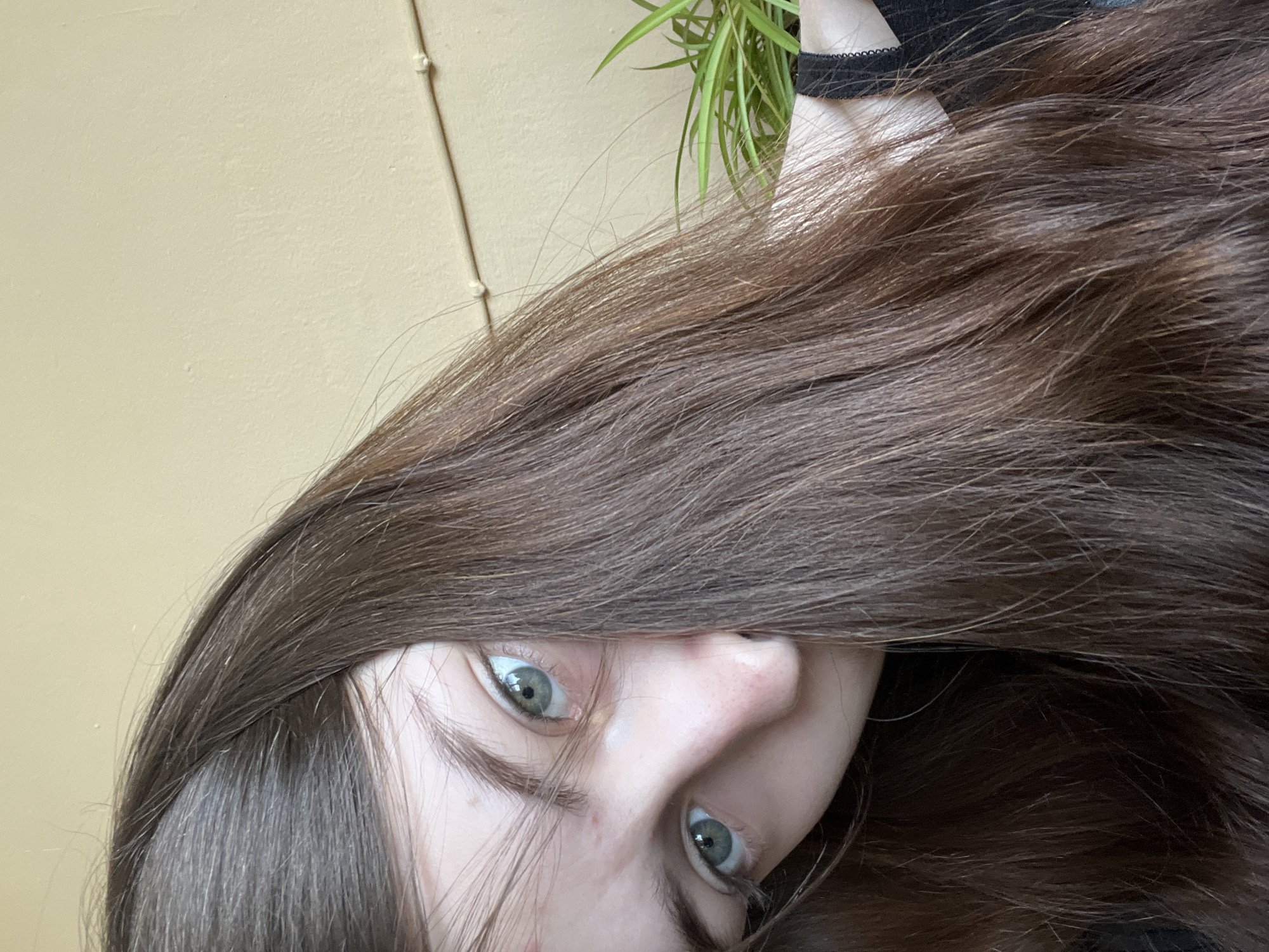 The media file displays a close-up portrait of a person, likely taken in Saint Petersburg, Russia, with the image oriented at a significant tilt. The central subject is a person with long, thick, dark brown hair that cascades over their face, partially obscuring it. Two prominent light blue-green eyes with clear pupils gaze directly at the viewer from behind the strands of hair. A portion of the person's nose and surrounding skin is also visible.
In the background, a light, warm beige or yellow-colored wall is visible, exhibiting some texture. A thin, light-colored cord runs vertically along this wall, secured by small, round, white attachments. In the upper right section of the image, behind the person's hair, a vibrant green plant with slender, spiky leaves is seen, suggesting an indoor setting. A black garment or strap is also partially visible near the plant and the person's neck.
The image captures a moment of direct eye contact, but due to the hair covering much of the face, a clear emotional expression is not fully conveyed. No specific activity or event other than posing for the photograph is depicted. The lighting suggests a daytime indoor setting, but time of day or weather cannot be precisely determined. There is no visible text in the image.
