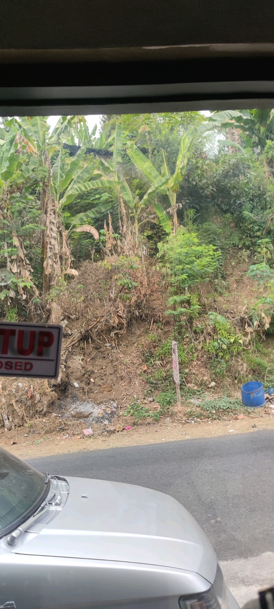 The image shows a roadside scene with lush vegetation, including banana trees, on a sloped embankment. In the foreground, the hood and windshield of a silver car are visible. A sign with the word "TUP" and "OSED" is partially visible on the left side of the image, suggesting it might read "CLOSED" or "TUP CLOSED". The embankment is covered with dry leaves and debris, and a blue bucket and some plastic waste are scattered near the roadside. A white post with a sign is also present on the embankment. The scene appears to be a natural landscape adjacent to a road, possibly in a rural or semi-rural area of Gambarsari, Indonesia, given the tropical foliage.