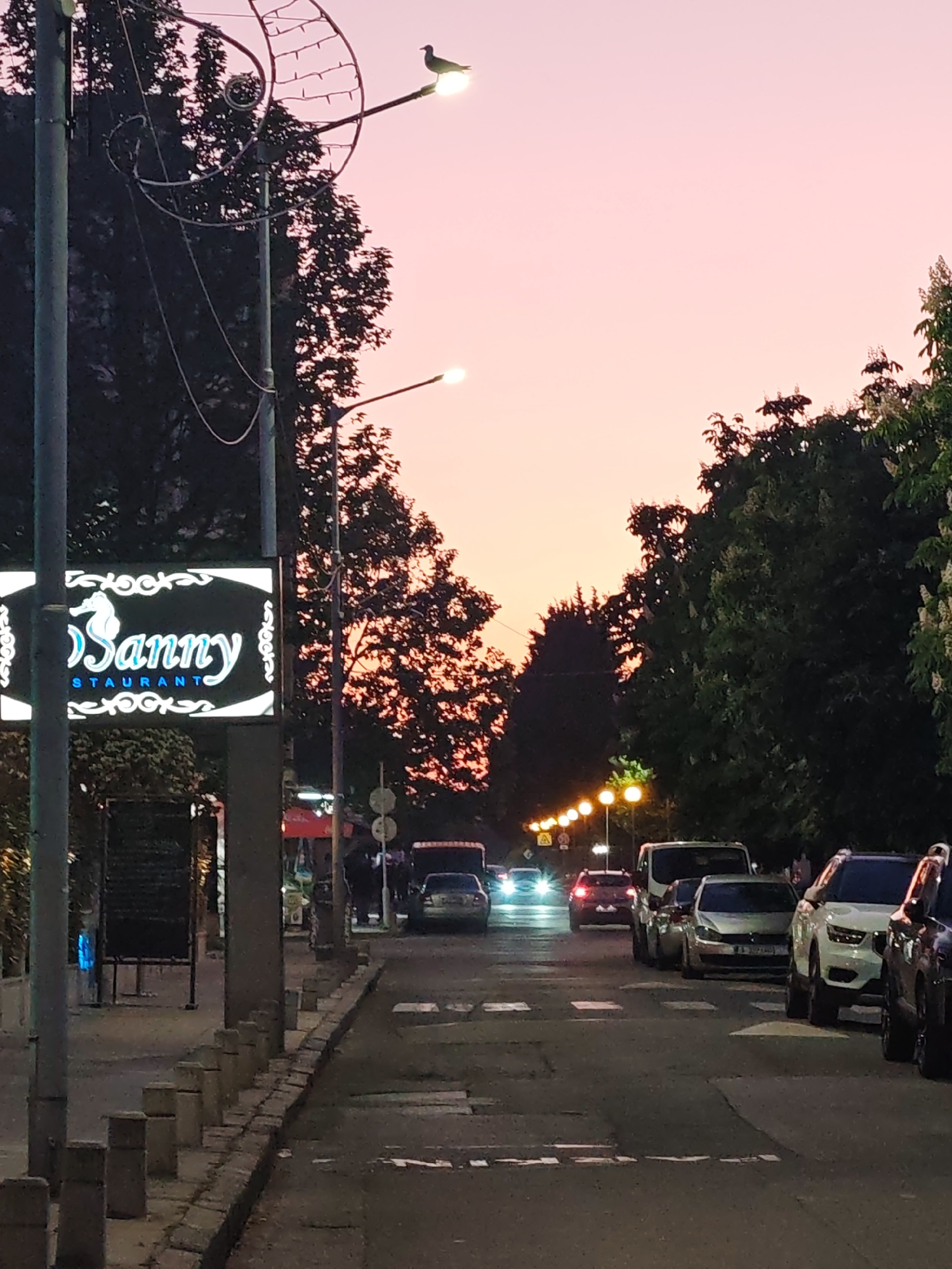 The photograph captures a street scene at twilight in what appears to be a residential or commercial area. The sky transitions from a soft pink to a deeper orange as the day fades. Along the left side of the frame, a prominent sign for "Danny Restaurant" illuminates the sidewalk, adjacent to a row of closely spaced, low, concrete pillars separating the sidewalk from the road. The street extends into the distance, lined with parked cars on the right and illuminated by overhead streetlights. Dark, leafy trees frame the street on both sides, adding a natural element to the urban environment. A small bird is perched atop one of the streetlights. The road shows signs of wear and repair. Some people are walking down the street in the background. The image captures a moment of everyday life in the town of Nesebar, Bulgaria.