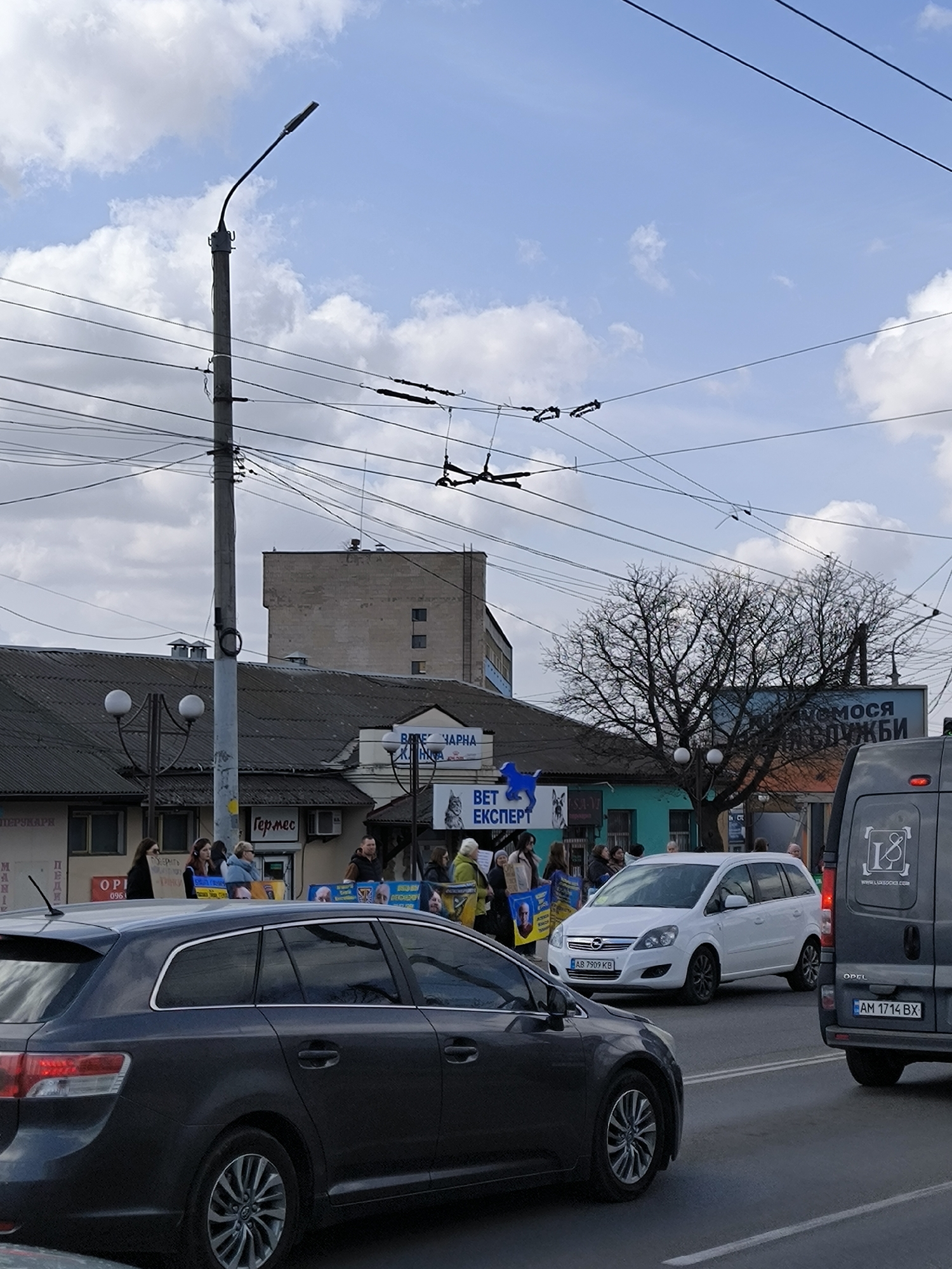 This image captures a daytime urban street scene in Vinnytsia, Ukraine. The sky is partly cloudy with scattered white cumulus clouds. Numerous overhead electrical wires, characteristic of a trolleybus or tram system, crisscross the upper portion of the frame.
In the foreground, a dark grey Toyota Avensis station wagon is visible on the left side of the road, facing away from the viewer. To its right, the rear of a light grey Opel van (license plate AM 1714 BX, featuring a "L8 lussosono.com" logo) is partially visible. Further down the street, a white Opel Zafira (license plate AB 7909 KB) is stationary. The road surface exhibits white lane markings.
On the sidewalk in the midground, approximately 10-15 pedestrians are gathered. Several individuals among them are holding blue and yellow banners or signs, some displaying human faces and Ukrainian text, indicating an organized public gathering or demonstration. Behind the pedestrians, a row of commercial buildings lines the street. Identifiable signage includes "ПЕРУКАРНЯ" (Hairdresser), "Гермес," and a prominent blue banner reading "ВЕТ ЕКСПЕРТ" (Vet Expert) with a blue dog emblem, located below a sign for "ВЕТЕРИНАРНА КЛІНІКА" (Veterinary Clinic). A tall grey utility pole, equipped with a street light fixture and numerous attached wires, stands centrally on the left. A bare, deciduous tree is positioned to the mid-right, partially obstructing a large billboard.
In the background, a multi-story, light brown concrete building with dark, rectangular windows is visible above the lower structures.