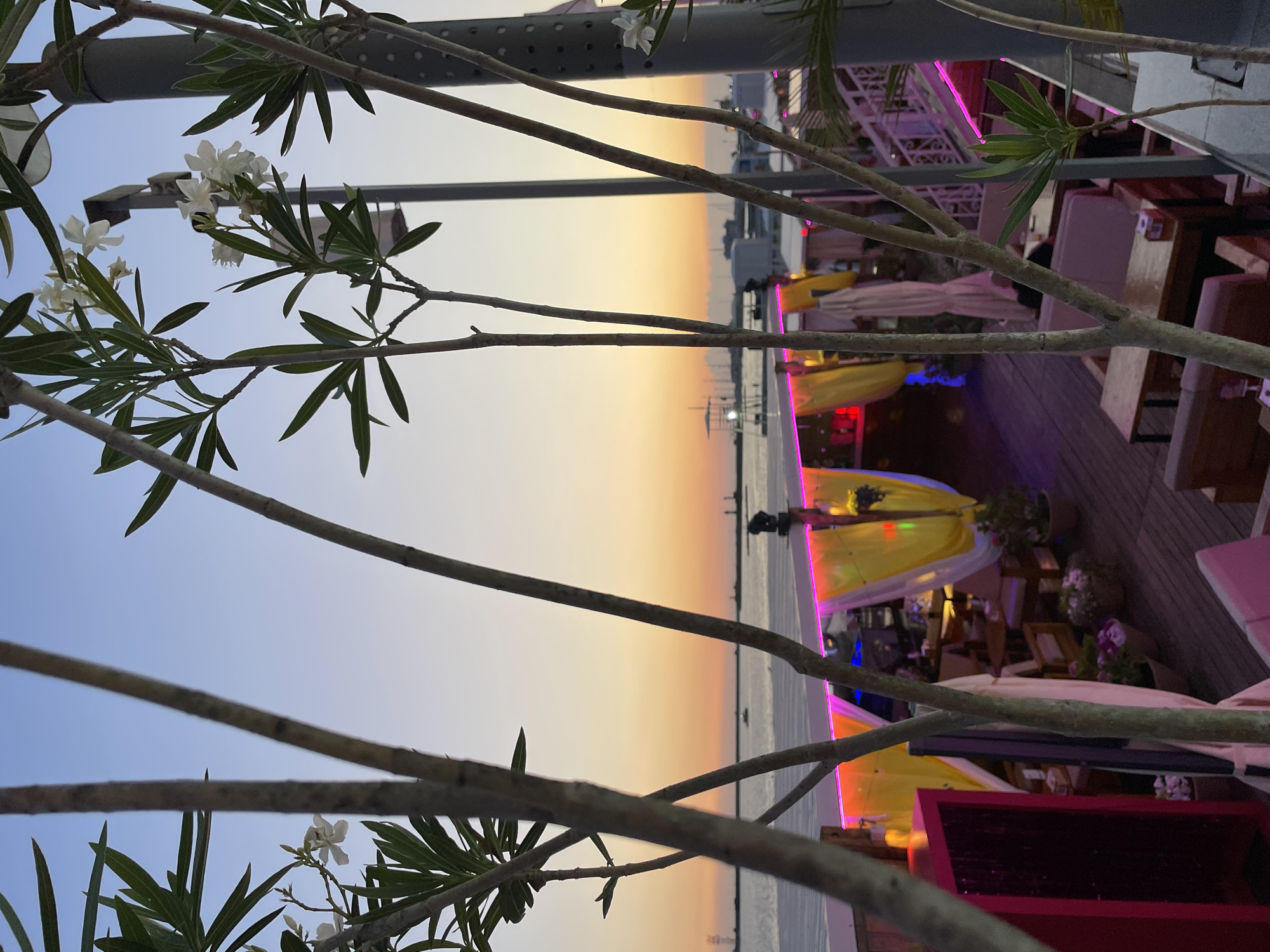 The photograph depicts an outdoor seating area of a venue, likely a restaurant or bar, with a backdrop of a tranquil seascape at dusk. The sky displays a gradient of soft blues and oranges, characteristic of a sunset. In the foreground, several slender tree branches and foliage with small white flowers are partially obscuring the view.
The seating area itself is characterized by an elevated wooden deck. Along the edge of the deck, there's a vibrant display of pink and purple LED lighting, illuminating a covered section. This section features tables and chairs, some with cushions, and is adorned with yellow and white draped fabric, creating a somewhat intimate or partitioned atmosphere. Potted plants are scattered throughout the area.
Further in the background, across a body of water, silhouetted structures and lights are visible, suggesting the presence of a port or another part of the city. A small boat can be seen on the water. The overall impression is one of a relaxed, evening ambiance, possibly a resort or a waterfront establishment. The context of Sochi, Russia, implies a location along the Black Sea coast, known for its beaches and tourist attractions, particularly during warmer seasons.