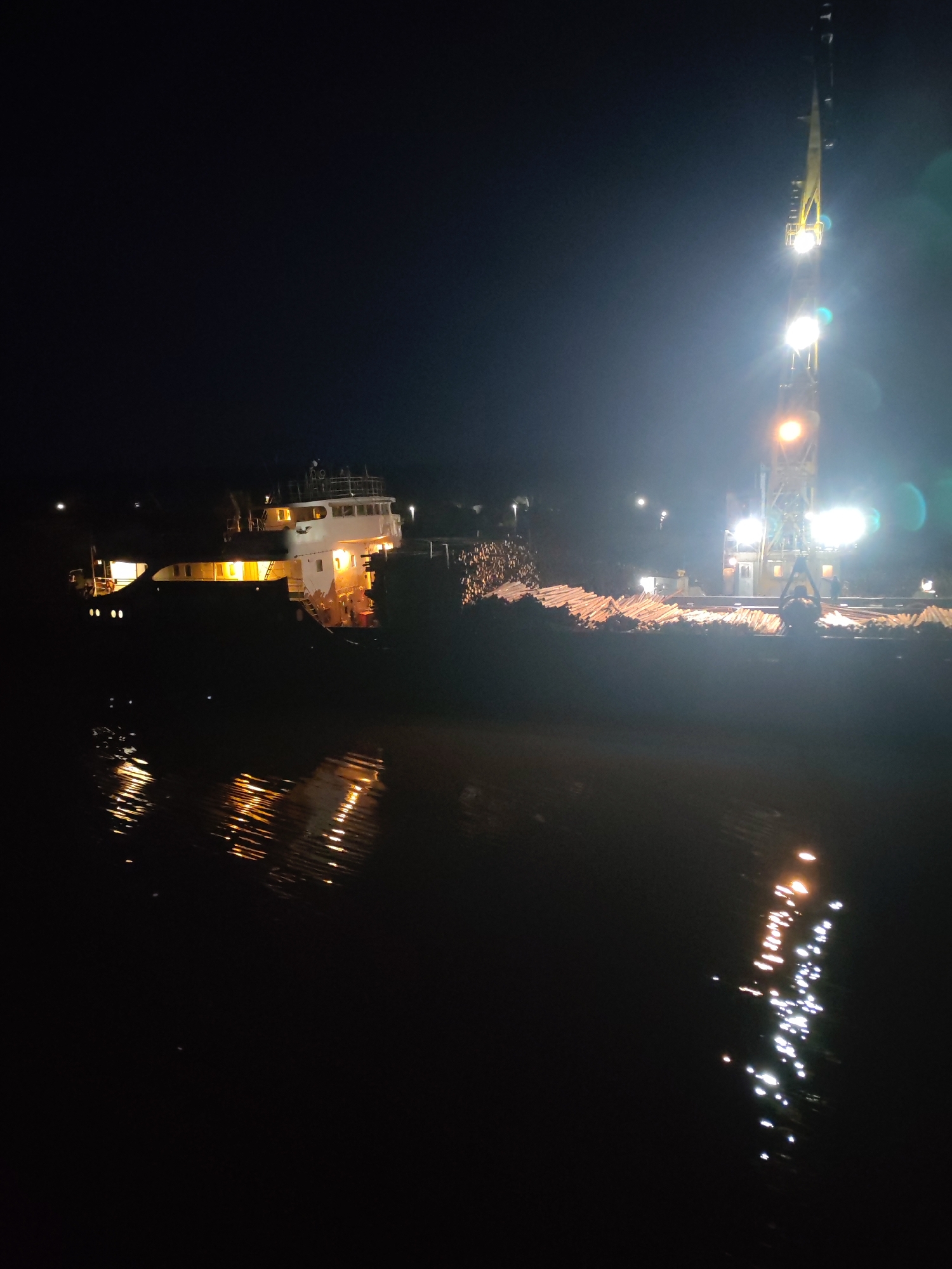 The image depicts a nighttime scene in what is identified as Vytegra, Russia. A body of water, reflecting light, dominates the lower portion of the frame. On the opposite bank, two vessels are visible: A larger ship with multiple decks and illuminated windows is seen to the left, while to the right, what appears to be a barge or platform, lit by floodlights, has a tall crane extending upwards, and is piled high with a long stack of timber logs. The general environment is dark, with light sources concentrated around the vessels and their reflections in the water. No people are discernible in the image.