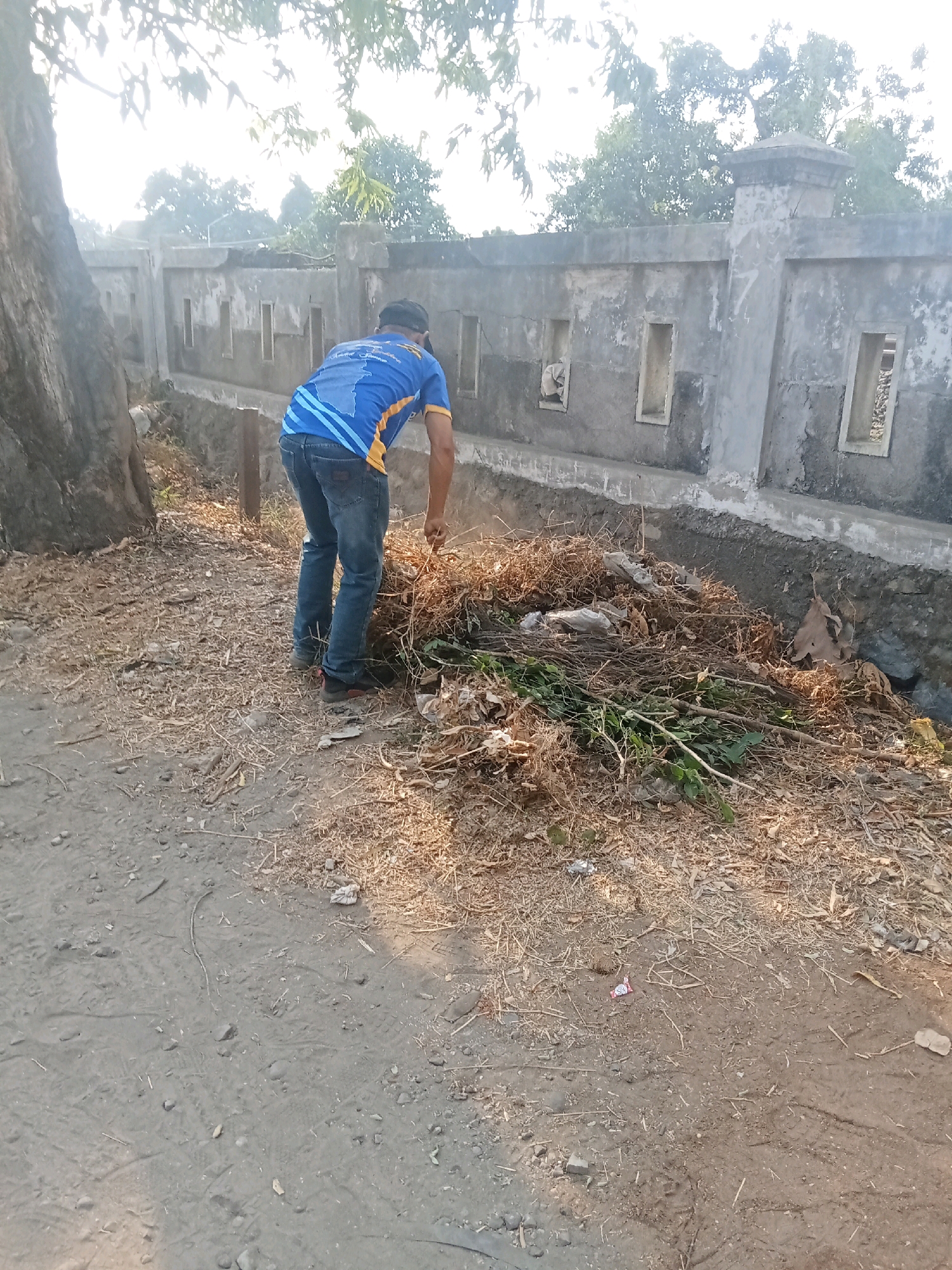 In Kaliwungu, Indonesia, a person in a blue shirt and jeans is seen raking a pile of leaves and twigs near a concrete wall. The scene takes place outdoors, with dry vegetation covering the ground. The wall appears to be part of a building or structure, with rectangular openings visible along its length. A large tree trunk is present on the left side of the image, casting a shadow. The ground is made of dirt and small stones, with some tire tracks visible. The sky is bright and overcast, suggesting it is daytime.
