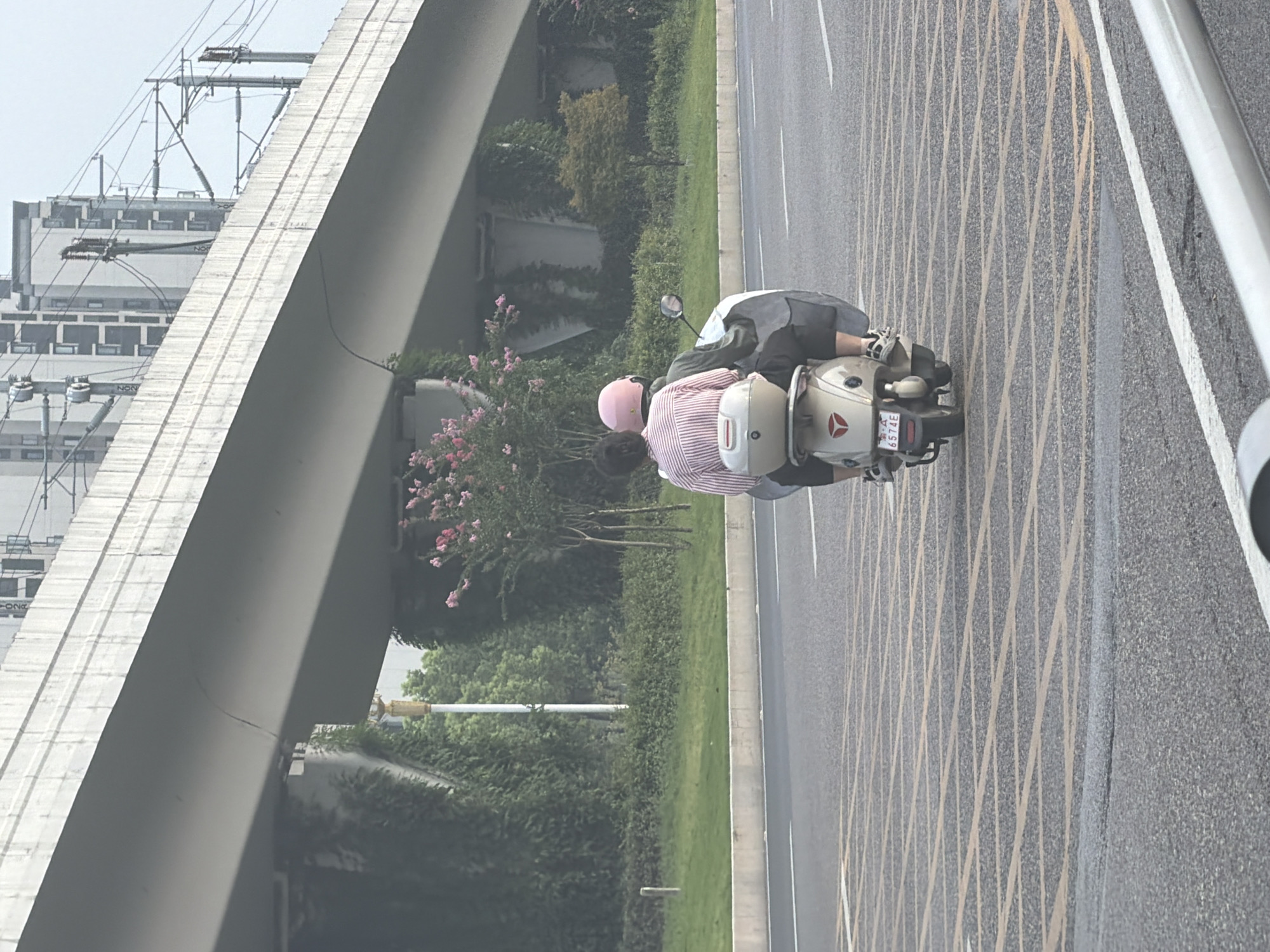 Two individuals, a driver and a passenger, are riding on a light-colored scooter in Jiangjin, China. The driver, wearing dark clothing, is operating the scooter, while the passenger, in a pink helmet and a pink and white striped shirt, is seated behind them. They are traveling on a paved road marked with yellow grid lines. In the background, an elevated concrete structure, likely an overpass or bridge, looms overhead. Beneath the structure, lush green foliage and some flowering trees are visible. Beyond the greenery, tall buildings and utility poles with electrical wires suggest an urban environment. The sky is overcast, contributing to a muted lighting condition. The scene appears to be captured during daylight hours.