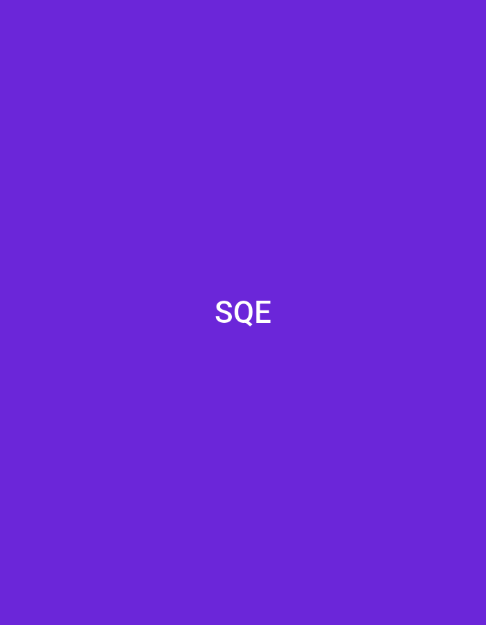 The image displays a solid, uniform purple background. Centered horizontally and slightly below the vertical midpoint of the frame are three white, uppercase, sans-serif letters: "SQE". No other objects, individuals, or environmental details are discernible. The image lacks any identifiable geographical context or specific location information pertaining to Casablanca, Morocco, or anywhere else.