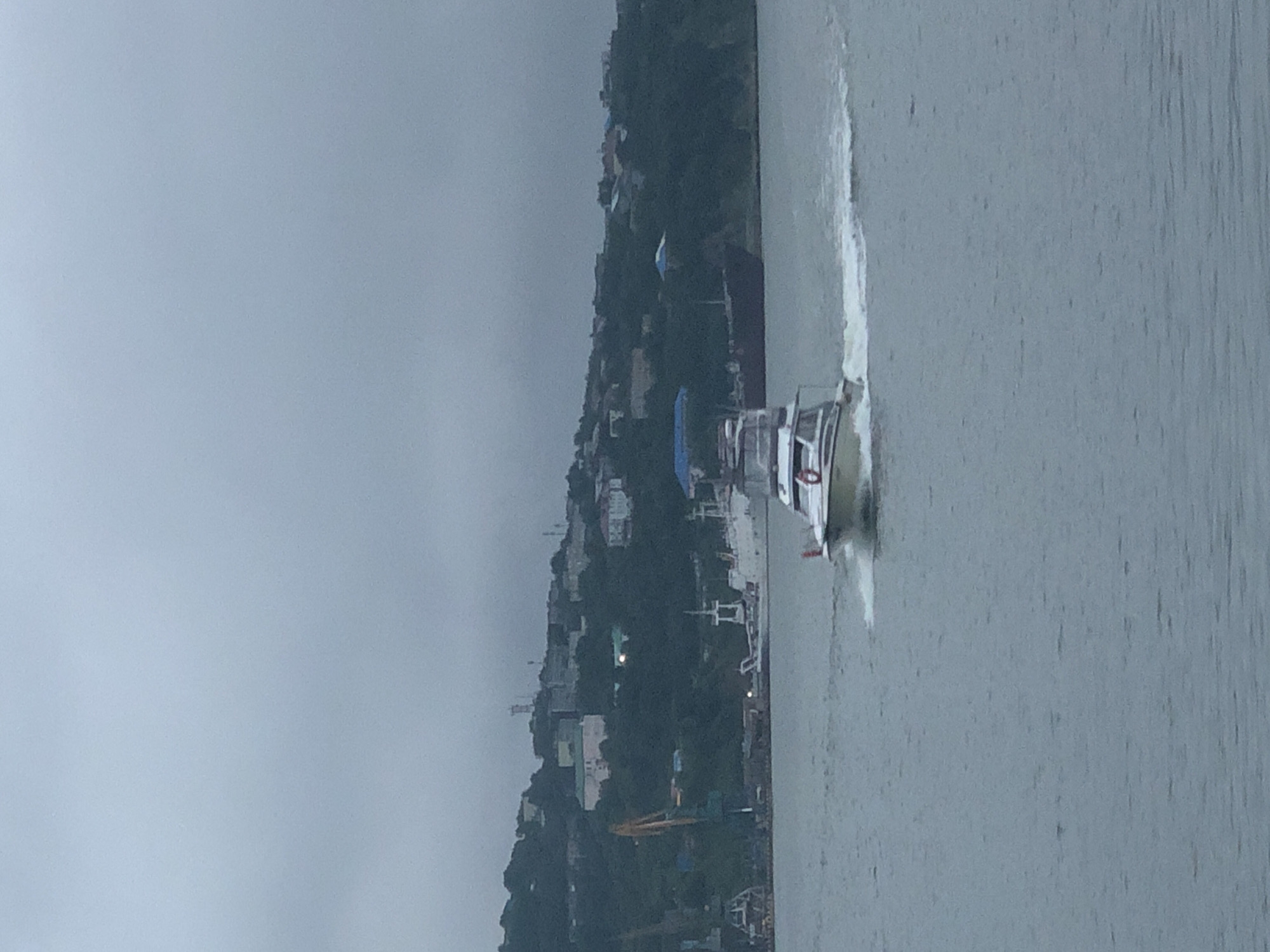 The image depicts a boat sailing on the water with a city built on a hill in the background. The weather appears overcast, with a hazy sky. The city is characterized by buildings nestled amongst trees on the sloped terrain. In the foreground, a white motorboat with a blue canopy is moving away from the viewer, leaving a white wake behind it. The water is calm and appears to be a gray-blue color. Along the shoreline, industrial elements such as cranes and other vessels are visible. The overall scene suggests a port or harbor area within a coastal city. Based on the presence of specific architecture, industrial infrastructure, and the general landscape, this scene is likely located in the city of Petropavlovsk-Kamchatsky, Russia, specifically in its port area.