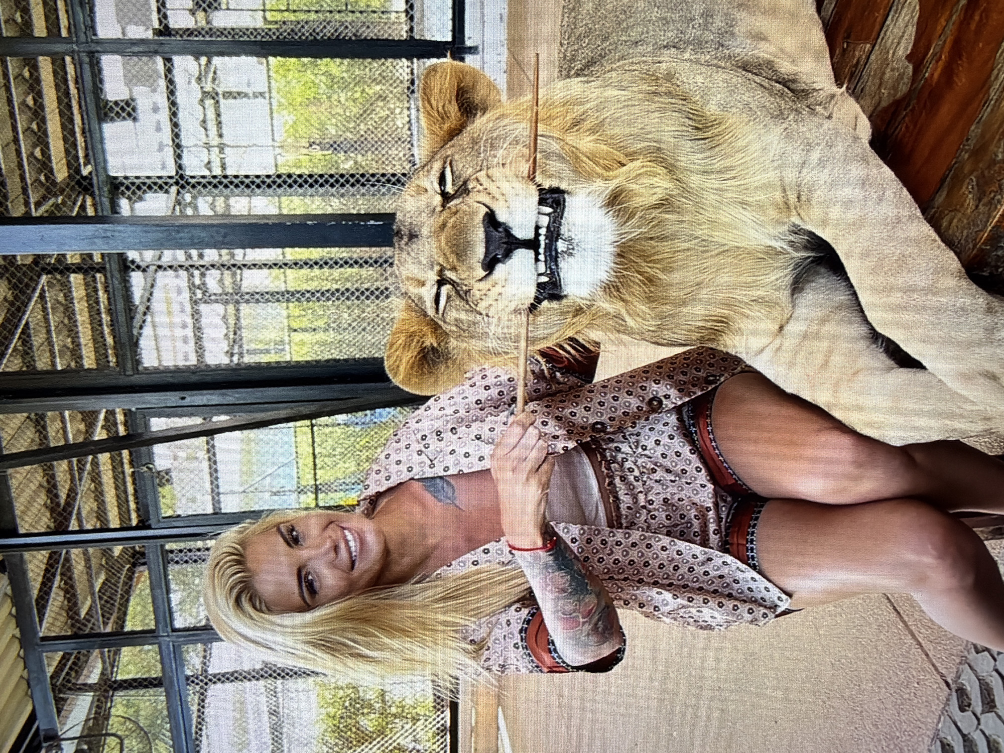 This rotated photograph depicts a woman interacting with a lion within an enclosure, likely at a facility in Hamburg, Germany. The scene is brightly lit, suggesting daytime.
The primary subjects are a blonde woman and a lion. The woman, with long blonde hair, is smiling broadly and looking towards the camera. She is wearing a light-colored, patterned collared top with matching shorts. Visible tattoos adorn her arms and shoulder, and she wears a red string bracelet on her wrist. She is seated or kneeling on the ground next to the lion.
The lion, a subadult or female with light brown fur, is lying on its back or side on a wooden surface, seemingly interacting with the woman. Its mouth is open, revealing its teeth and tongue, in what appears to be a playful or relaxed yawn rather than an aggressive display, given the woman's calm demeanor. The woman holds a thin, light-colored stick or rod near the lion's mouth, suggesting gentle interaction or play.
The setting appears to be an indoor or semi-enclosed habitat. In the background, metal mesh fencing and dark structural bars are visible, indicating an enclosure. Beyond the fence, green foliage and what looks like daylight can be seen. The floor in the foreground is a light-colored, possibly tiled or concrete surface. No visible text is present in the image.