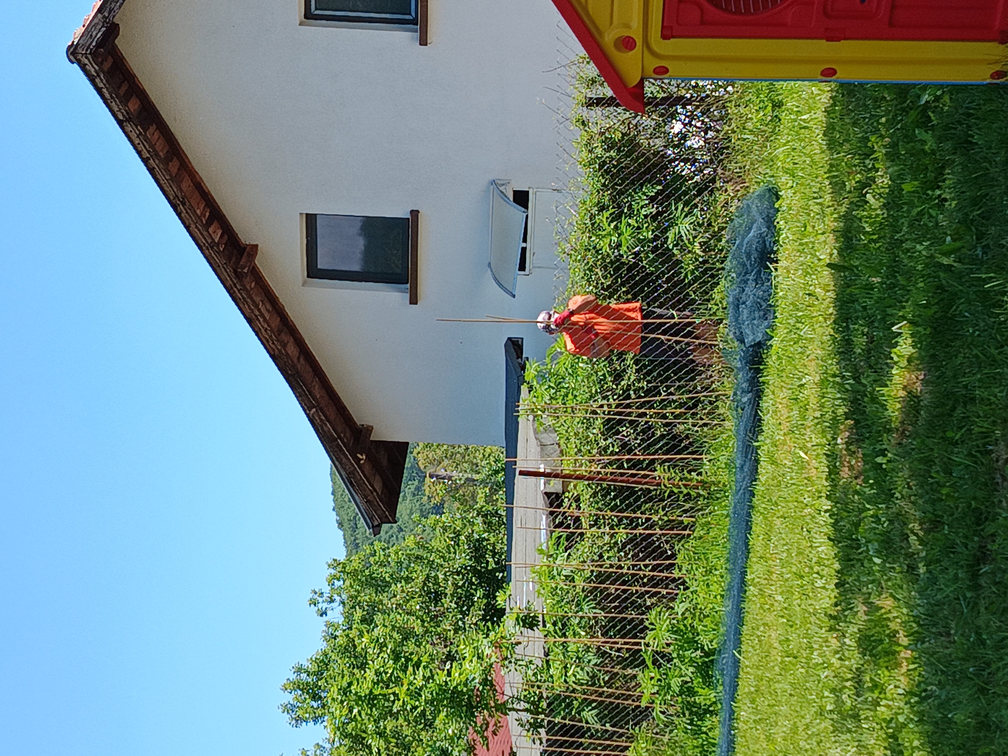 The image depicts a sunlit outdoor scene in Kovachevtsi, Bulgaria, featuring a person engaged in gardening activities near a house and a dense green fence line.
In the middle-left, a solitary individual is visible behind a chain-link fence, facing towards the right. This person wears an orange short-sleeved shirt and red gloves. Their face is partially obscured or covered with white material, possibly with red markings, creating a masked or clown-like appearance. They are holding a long, slender, light-colored pole (likely bamboo) vertically with both hands, positioned as if planting or adjusting it near the fence.
To the right, a two-story house with white stucco walls and a brown tiled roof is prominent. The house features dark-framed windows; one on the lower floor has a partially tilted or open light-colored awning above it. Trees and lush green foliage are visible behind and to the left of the house, extending towards a distant, tree-covered mountain range under a clear blue sky.
A chain-link fence, adorned with numerous thin, vertical stakes, separates the grassy foreground from the house and garden area. Behind the fence, a thick line of green bushes and plants is visible. In the foreground, green grass covers the ground, with a dark, elongated shadow stretching across it from the left. A crumpled mass of dark netting or fabric lies on the grass in front of the fence. On the far right, a portion of a yellow and red plastic children's playhouse is partially visible. The scene is brightly illuminated by direct sunlight, indicating a clear day.