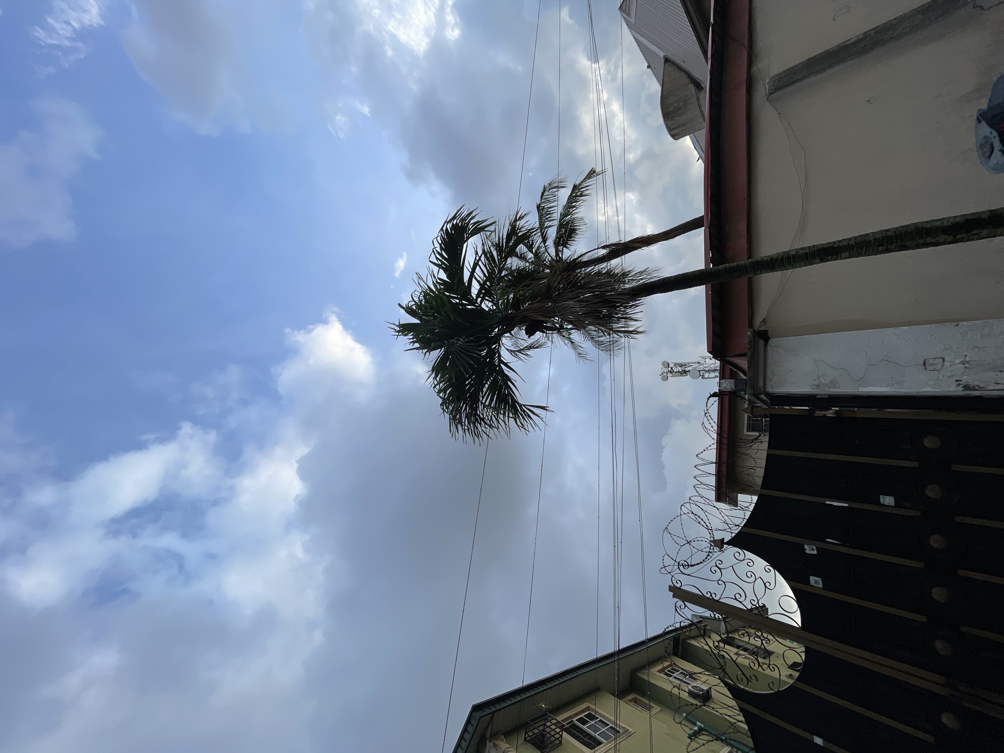 This image depicts an urban street scene in Ado, Nigeria, viewed from a low angle, focusing on the sky, architectural structures, and vegetation. The upper two-thirds of the frame are occupied by a blue sky interspersed with various white and grey cumulus clouds, indicating partial cloud cover. Multiple black utility wires traverse horizontally across the mid-ground.
Two palm trees are prominently positioned in the mid-right of the image, silhouetted against the sky. The tree on the left is taller and appears fuller, while the one to its right is thinner and leans slightly.
On the left side of the frame, the upper portion of a multi-story building is visible, featuring a light green exterior facade, white-framed windows, and dark roof trim. Air conditioning units are mounted below some of the windows.
In the foreground, occupying the lower-left to central areas, is a tall, dark-colored metal gate with decorative wrought-iron scrollwork at its top. Above this gate and extending along the property line to the right, a defensive barrier consisting of multiple strands of barbed wire is installed atop a wall.
To the right, partially visible, is another building with a light-colored (possibly beige) exterior and a reddish-brown roof. A structure resembling a cellular or communication antenna array is situated on the roof or adjacent to this building.