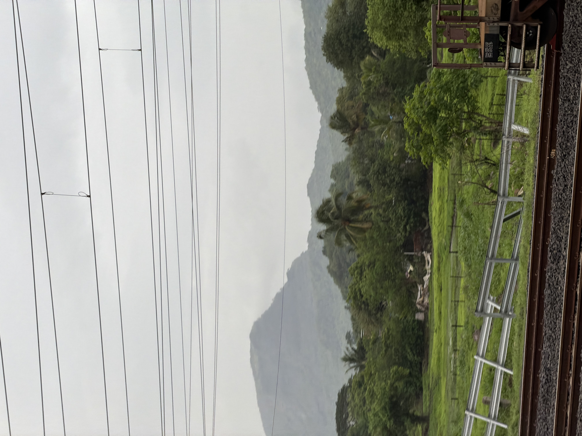 The image depicts a hazy, overcast day in Saphale, India. In the foreground, train tracks run horizontally across the bottom of the frame, with ballast beneath them. To the left of the tracks, a metal guardrail is visible, angled across a lush green field. The field itself is dotted with small trees and appears to be quite wet. In the middle ground, dense foliage of various green trees, including palm trees, creates a thick, natural barrier. Beyond the trees, misty, verdant mountains rise in the distance, their peaks softened by the atmospheric conditions. Overhead, multiple power lines stretch across the sky, supported by unseen poles. On the far right, the corner of a rusted train car is visible, featuring some metal grating and a small, faded sign. No people are visible in the image.
