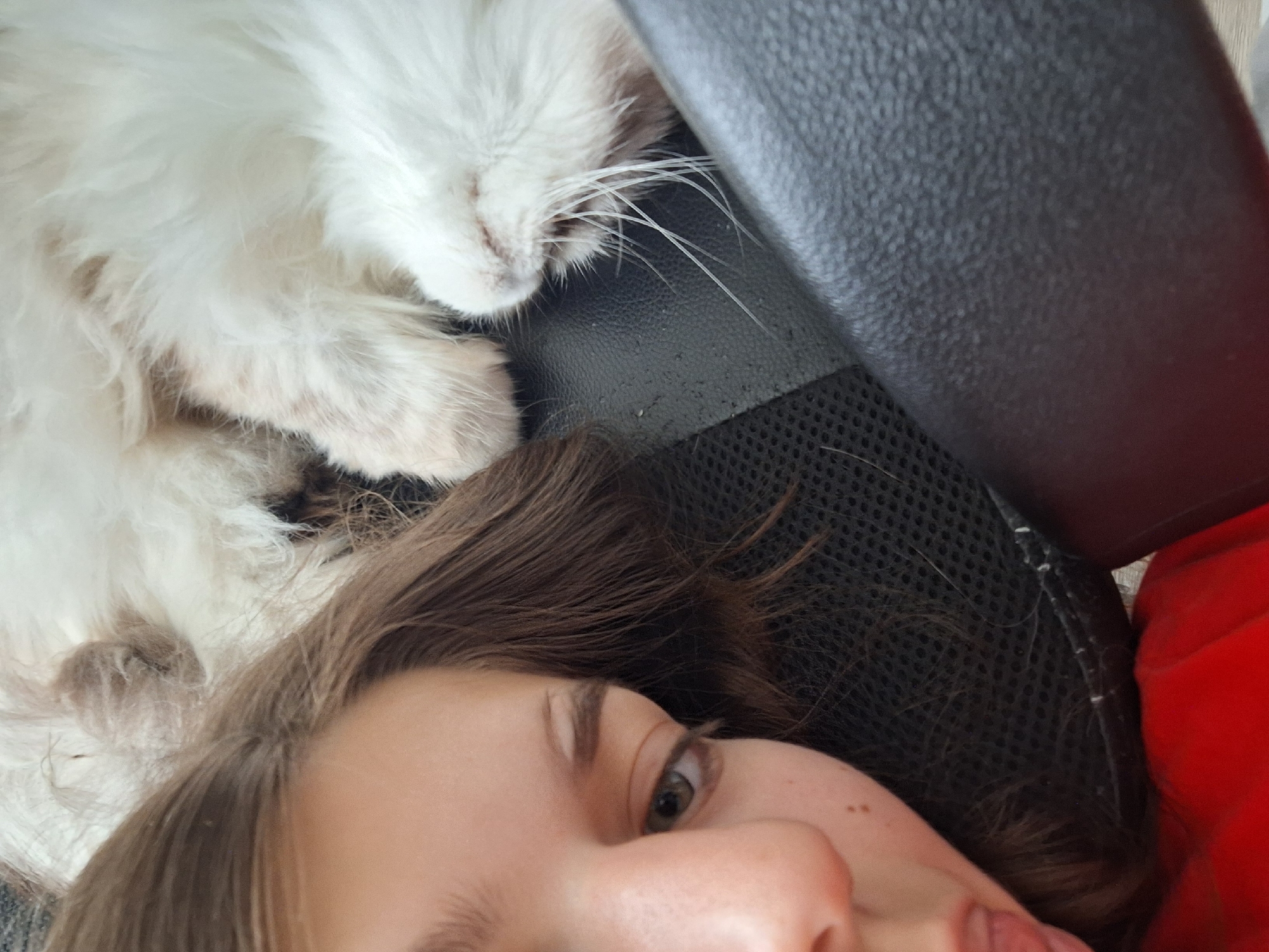 A close-up, eye-level shot shows a person lying next to a white, fluffy cat on a black mesh and leather chair. The person has brown hair and light skin. A patch of red fabric appears to the right. The location, Panagyurishte, Bulgaria, cannot be confirmed from the visual information provided.