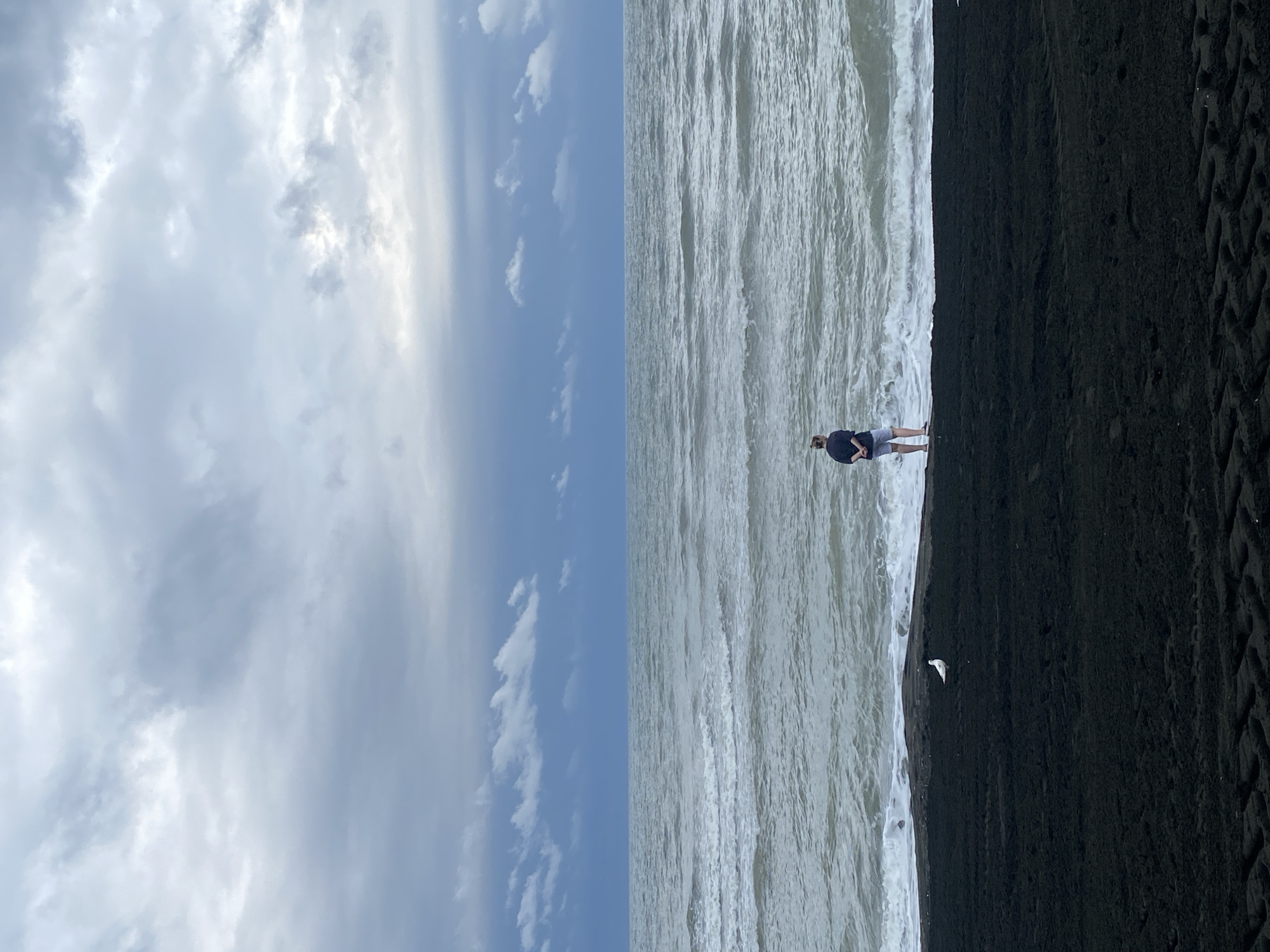 A person stands on a black sand beach in Ureki, Georgia, facing the rough, grey sea under a cloudy sky. The person is wearing a dark shirt and light-colored shorts, with their hands clasped behind their back. To the left of the person, a white bird, likely a seagull, stands on the wet sand near the water's edge. The foreground shows the textured black sand of the beach, with faint tire tracks visible. The sea is choppy with white waves breaking on the shore, and the sky is filled with heavy, grey clouds, some of which are illuminated by sunlight.