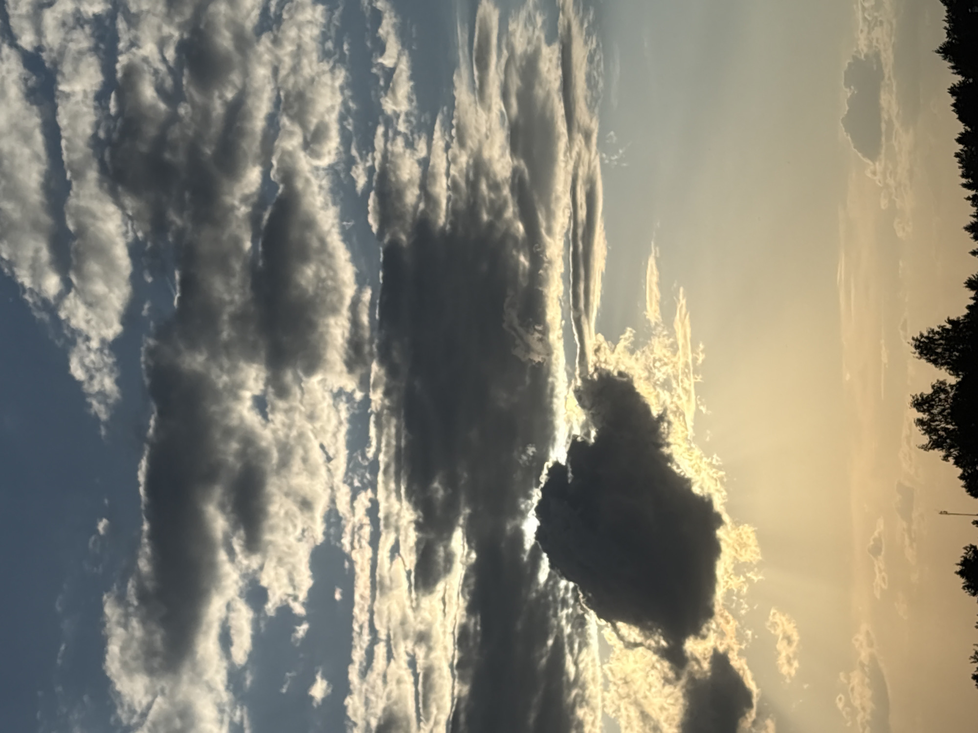 The image shows a cloudy sky with some sunlight peeking through the clouds. The sky transitions from blue to a yellowish-golden color near the horizon. Silhouetted trees are visible along the right edge of the frame. The location is stated as Прикамский, Russia.