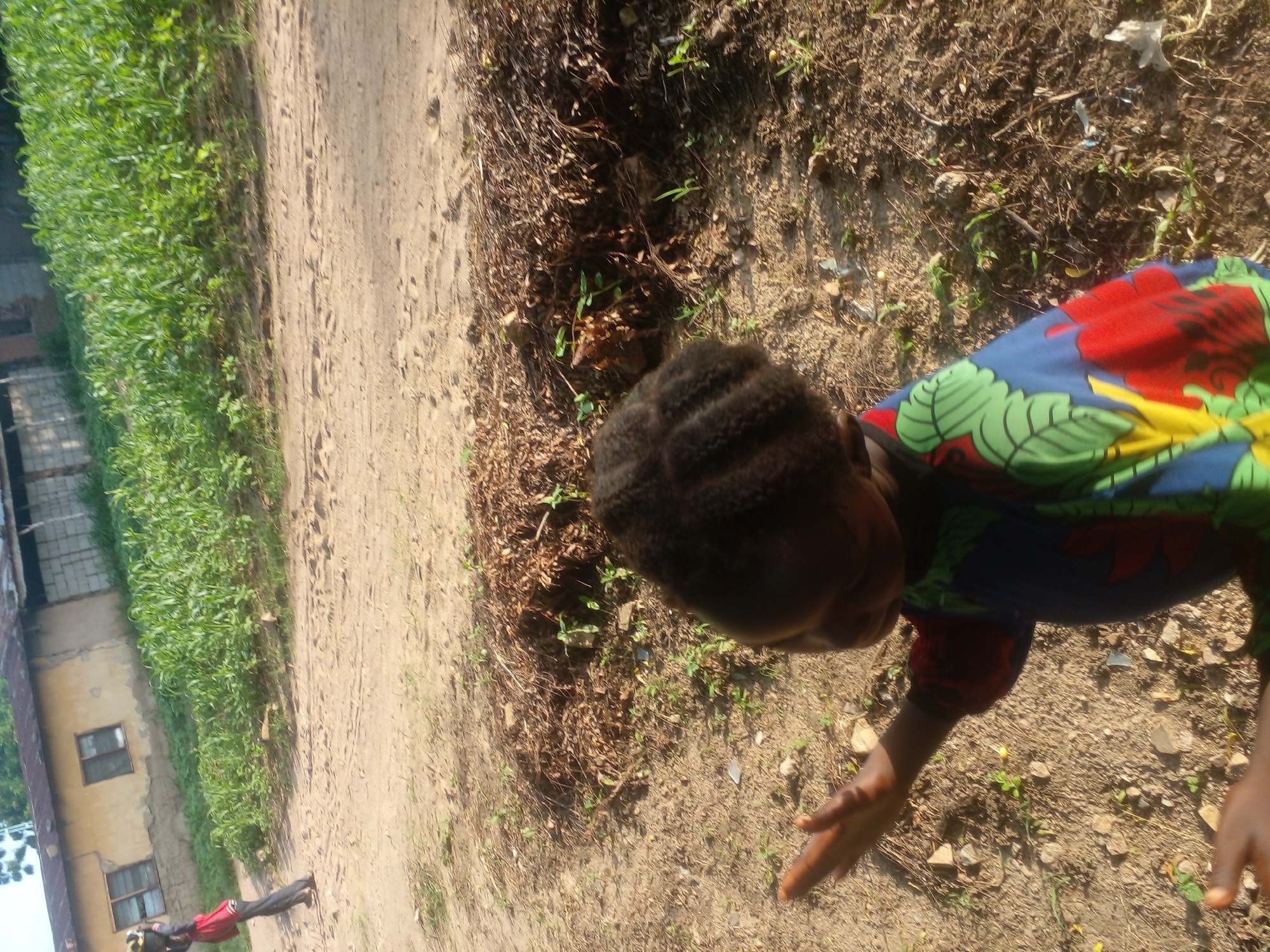 A young child with dark, braided hair is viewed from behind and the right shoulder. The child is wearing a colorful shirt with a pattern of red, yellow, green, and blue elements. The child's left arm is extended and raised, with the palm facing upwards, as if reaching out or gesturing. The child's right hand is also visible, held lower and slightly bent. The child is standing on dry, sandy ground, with scattered small stones and dried leaves. In the background, a pile of dried brown vegetation is visible. Further back, a crop of tall, green plants, possibly corn, grows. Behind the plants, a light-colored building with a corrugated metal roof and barred windows is visible. A person in a red top and dark pants is walking away from the camera on a dirt path in the far background. The scene appears to be an outdoor area in a rural or semi-urban setting.