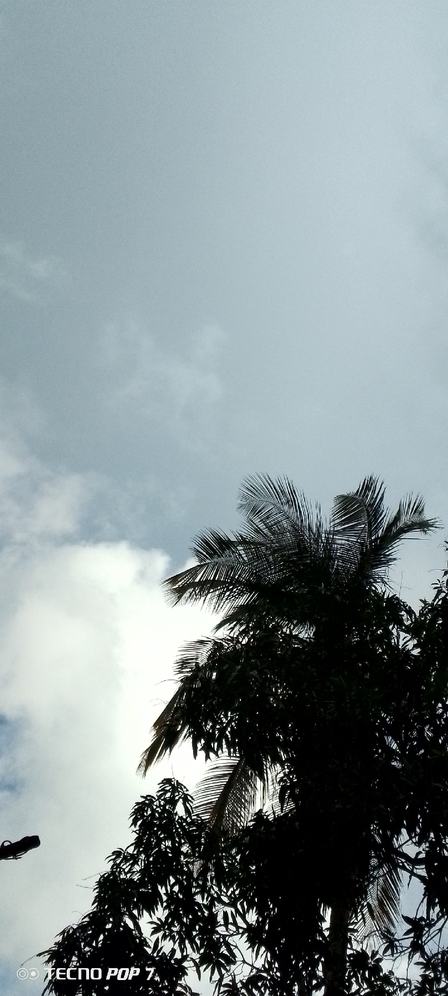 The image shows a view of the sky with silhouetted trees, including a palm tree, in the foreground. The sky is overcast with some clouds visible. The lower left corner of the image contains a watermark that reads "TECNO POP 7". The scene appears to be outdoors, likely in a tropical or subtropical climate. No people are visible in the image. The location is stated as Altagracia, Venezuela.