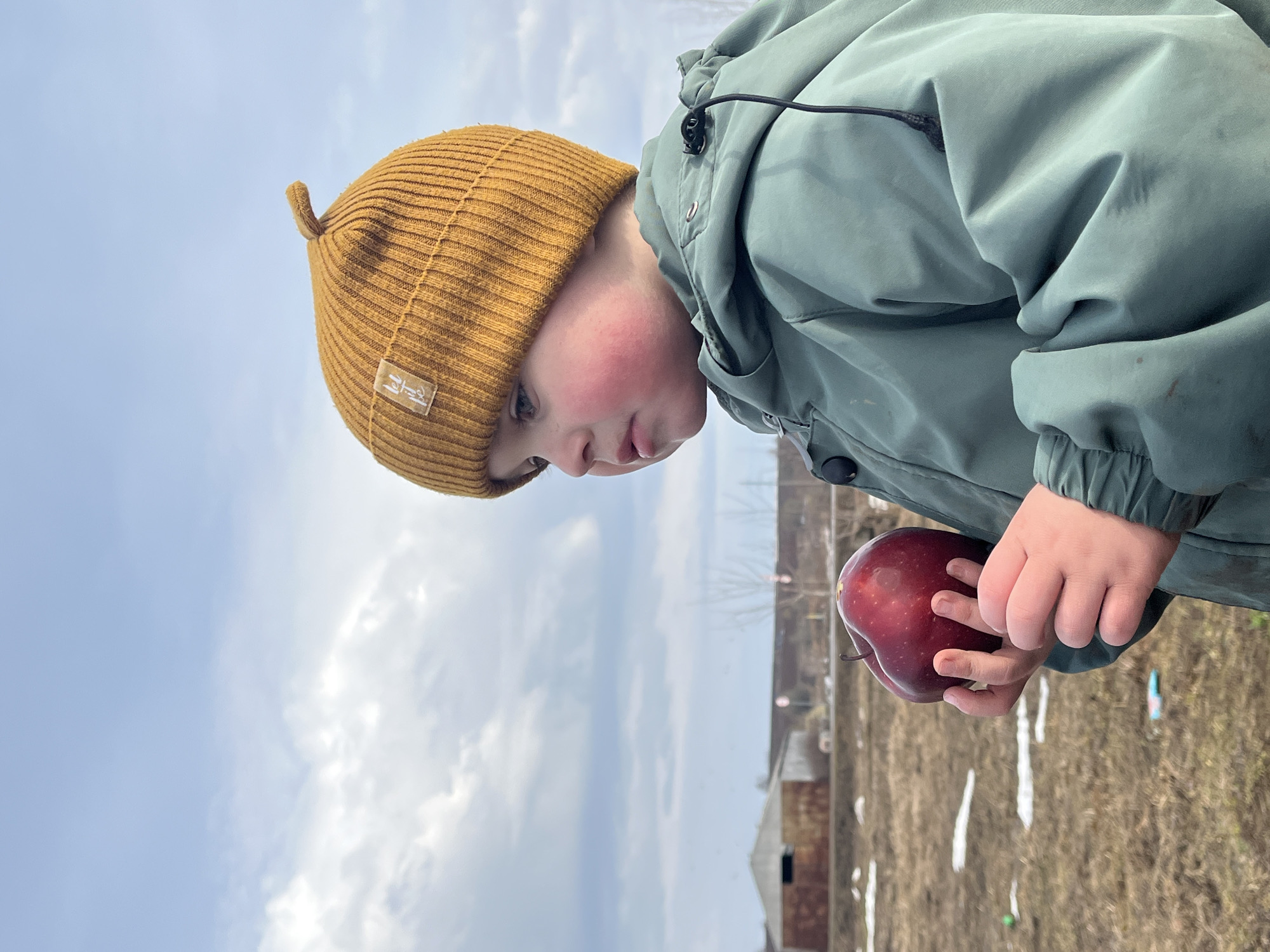 A young child, wearing a mustard-yellow knitted beanie and a greenish-gray jacket, is holding a shiny red apple in their right hand. The child is looking down at the apple. The background shows a rural landscape with patches of dry grass and melting snow. There are some buildings and fences visible in the distance under a cloudy sky. This image was taken in Павловка, Russia.