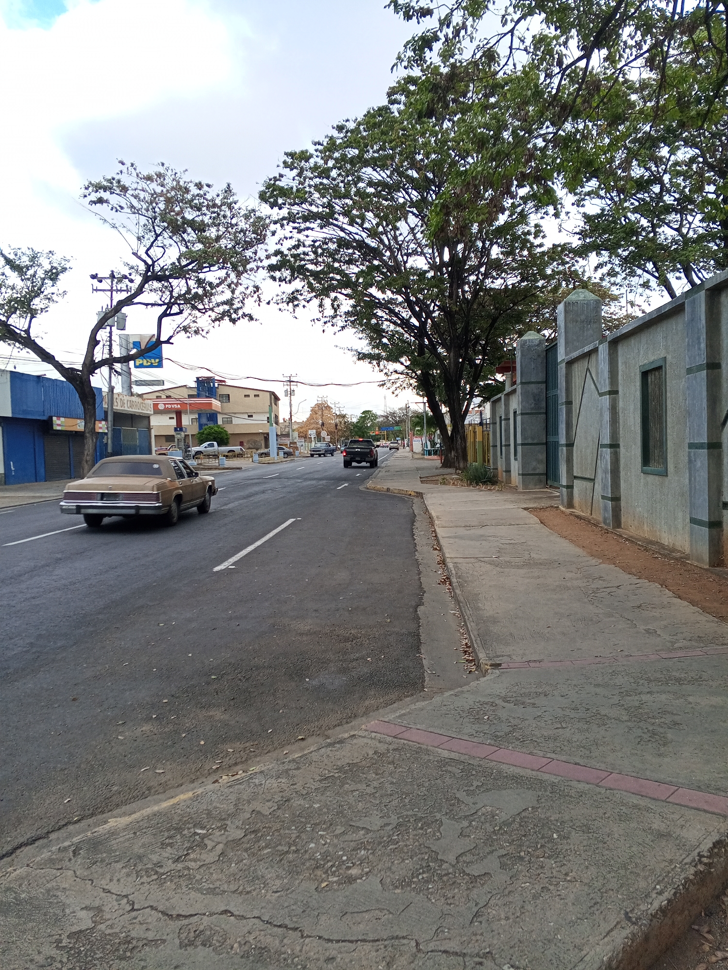 The photograph captures a street scene in Juan Griego, Venezuela, featuring a tan vintage car driving on a paved road. The road is marked with white lines to indicate traffic lanes. In the background, several buildings are visible, including a blue structure and a building with a prominent PDVSA sign. Other cars and utility poles line the street, and the sky is overcast. On the right, a sidewalk runs alongside a concrete wall with a gate and dark green windows. Large, leafy trees overhang the sidewalk. The sidewalk itself is cracked in places and marked by red bricks.