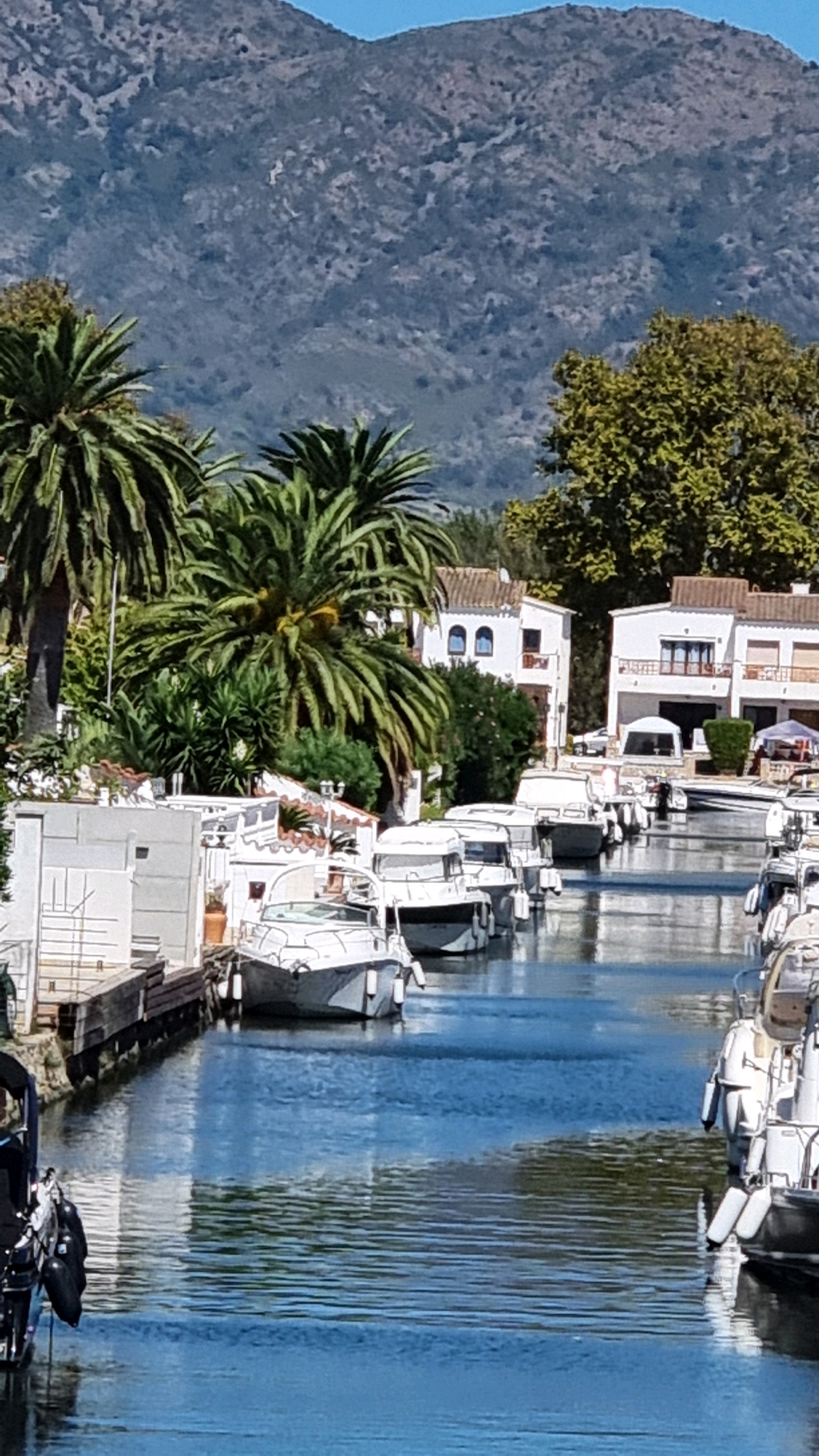 The image depicts a sunny day scene along a canal in Castelló d'Empúries, Spain. A row of white boats is moored on the right side of the canal, with their reflections visible in the blue water. On the left bank, a wooden dock extends into the canal, with a white building situated behind it. Further back, several white houses with terracotta roofs line the canal, surrounded by lush green palm trees and other foliage. In the background, a large, textured mountain looms under a clear blue sky, with a lone white bird in flight near its peak. The scene conveys a peaceful, resort-like atmosphere.