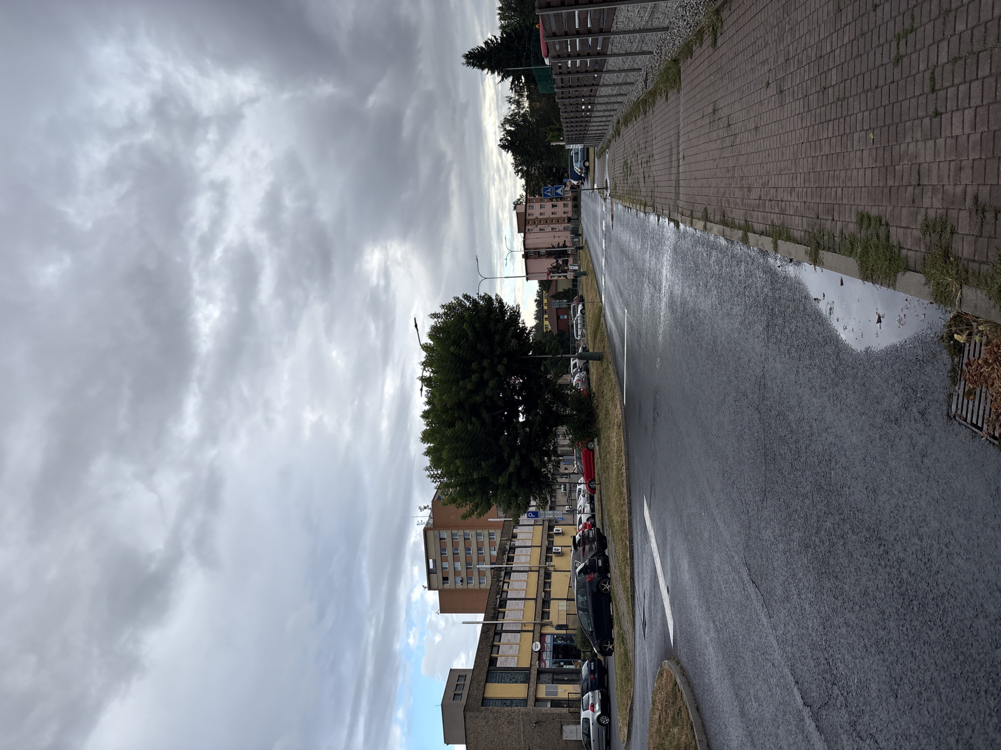 The image shows a street scene in a city, likely after rain. The sky is overcast with heavy, grey clouds. A wet asphalt road dominates the foreground, with a white line painted on it indicating a turn or lane. To the left of the road, there is a patch of dry grass and a curved curb. Several cars are parked along the side of the road, next to a building with a yellow facade and a brick lower level. A large, dense green tree stands prominently near the center of the image, separating the parked cars from the road.
Further down the street, a pedestrian sidewalk made of brick pavers runs along the right side. Puddles of water are visible on the asphalt near the sidewalk. A low fence made of wooden slats and stone separates the sidewalk from a gravel area. Across the street, several apartment buildings of varying heights and colors are visible, as well as more trees and vegetation. Streetlights are present along the road. The overall impression is of a somewhat gloomy, everyday urban environment.