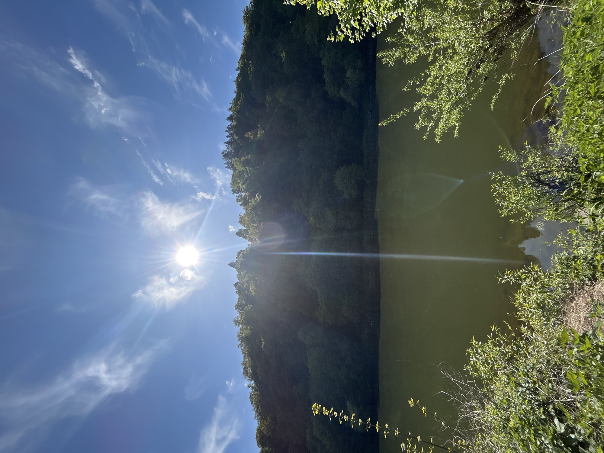 The image shows a landscape scene on a sunny day. A body of water, possibly a lake, is situated on the right side of the frame. The water is dark and reflects the surrounding vegetation. Adjacent to the water, there's lush greenery with bushes and trees. On the left, a dense forest extends upwards, appearing to be on a hillside. The sky is blue with scattered white clouds, and the sun is shining brightly, causing lens flare. The photo seems to have been taken in an Unknown location in the city of Unknown.