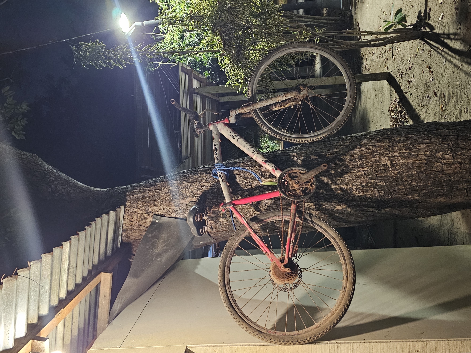 An old, rusty red and white bicycle is mounted to a tree trunk by a blue rope, with its wheels protruding to the left and right. The bicycle is positioned horizontally, with the handlebars facing right and the rear wheel to the left. The scene appears to be outdoors at night, with a light fixture visible in the upper right quadrant of the image, casting a strong beam of light. A corrugated metal roof structure is visible overhead, attached to a building on the left. Behind the bicycle and to the right, there is dense foliage. The ground is covered in sand and scattered leaves. The overall impression is one of an abandoned or artistically displayed bicycle in a rustic, outdoor setting. It is not possible to determine the precise location in Denpasar, Indonesia.