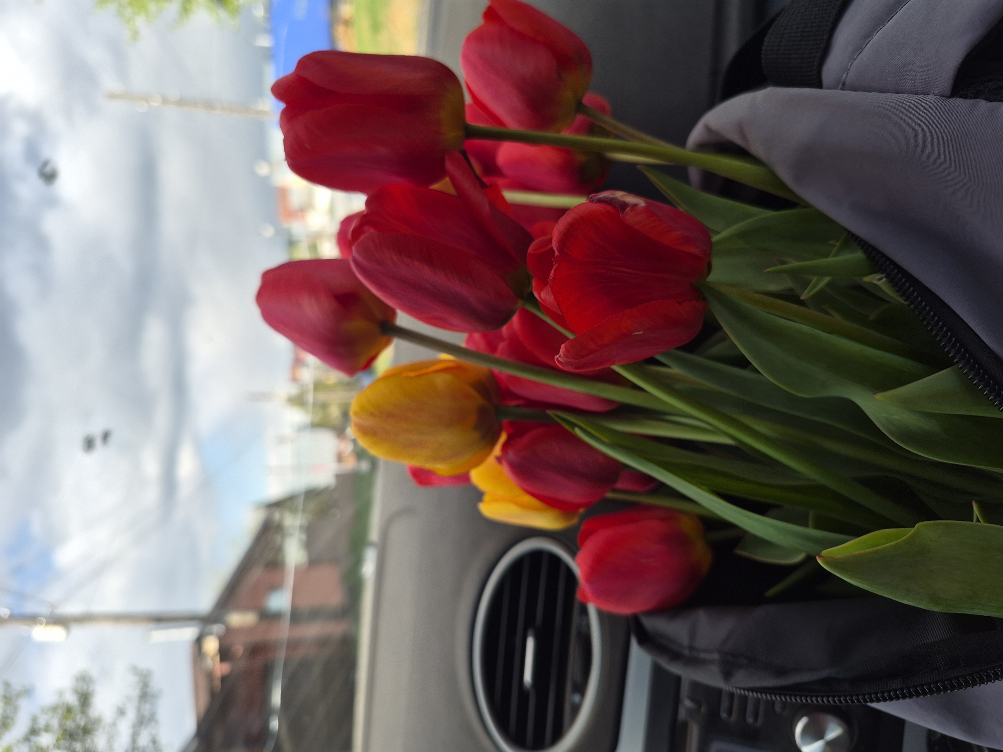 A photograph shows a bouquet of red and yellow tulips in a gray bag inside a car, likely taken within the city of Chaikovsky, Russia. The flowers are primarily red, with a few yellow blooms interspersed. They are arranged in a gray bag, possibly a backpack or tote bag, that is positioned on the dashboard or front passenger area of the car. A car air vent is visible behind the bag. Through the car window, a blurred cityscape can be seen. The sky appears cloudy and overcast. Elements of buildings, power lines, and foliage are visible in the background. The image is slightly rotated.