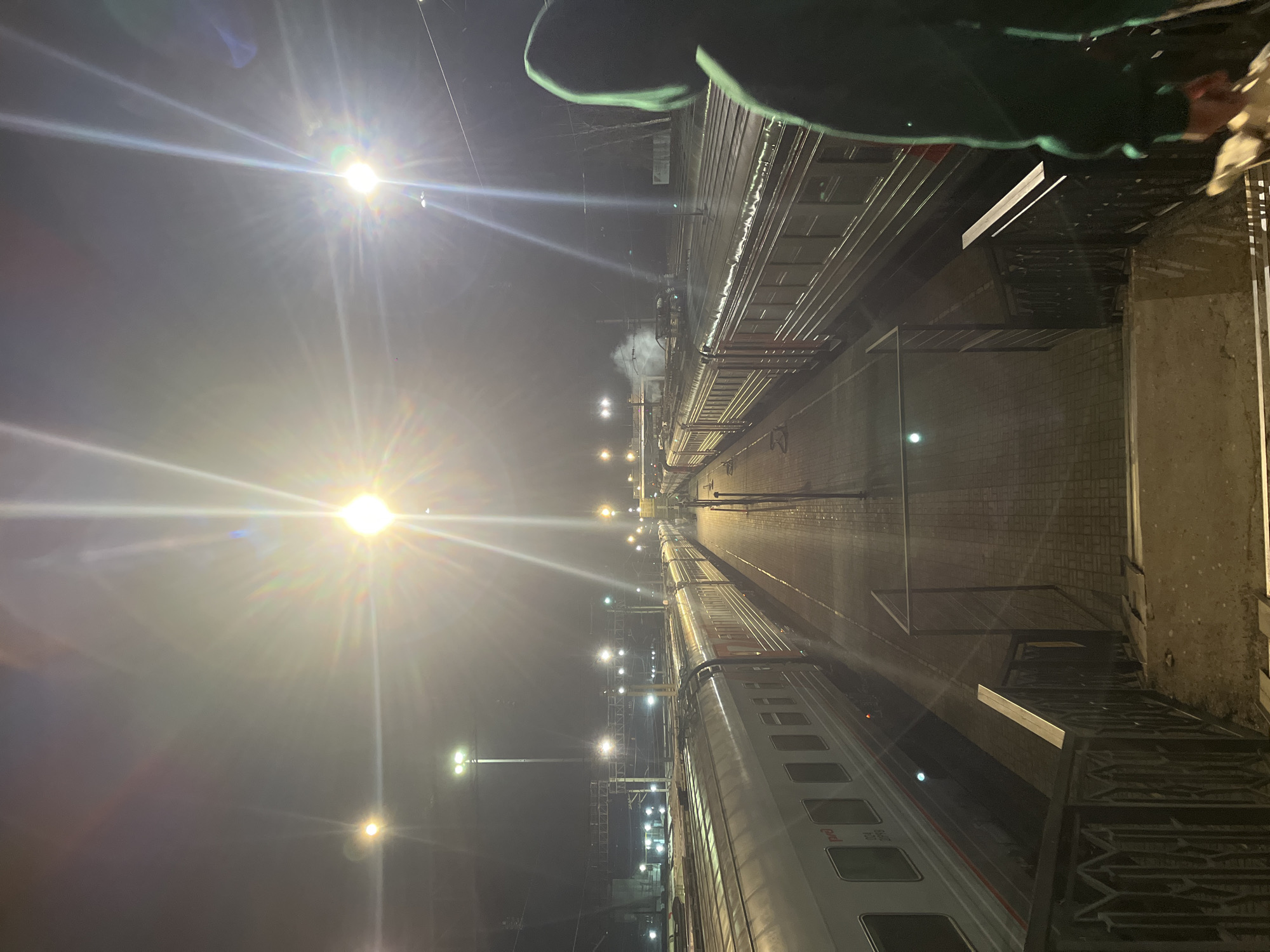 A vertical, high-angle, eye-level nighttime shot depicts a train station platform in Izhevsk, Russia. Two parallel trains occupy the station; the one on the bottom right is predominantly white, with visible windows and the Russian word "Rossiya" on its side. Above it, another train is mostly obscured in darkness but appears to be a similar size.
The platform between the trains is brick or concrete and illuminated by a series of evenly spaced streetlights stretching into the distance, creating bright flares. The lights are also reflected off the train cars.
The image is taken from a higher platform or bridge overlooking the tracks. A decorative metal railing runs along the edge of the elevated platform where the photographer stands. An out-of-focus figure with a dark green hood is partially visible in the top right and top center of the frame. Steam or smoke is seen emanating from the middleground of the frame. The overall environment suggests a cold, foggy, or misty night.
