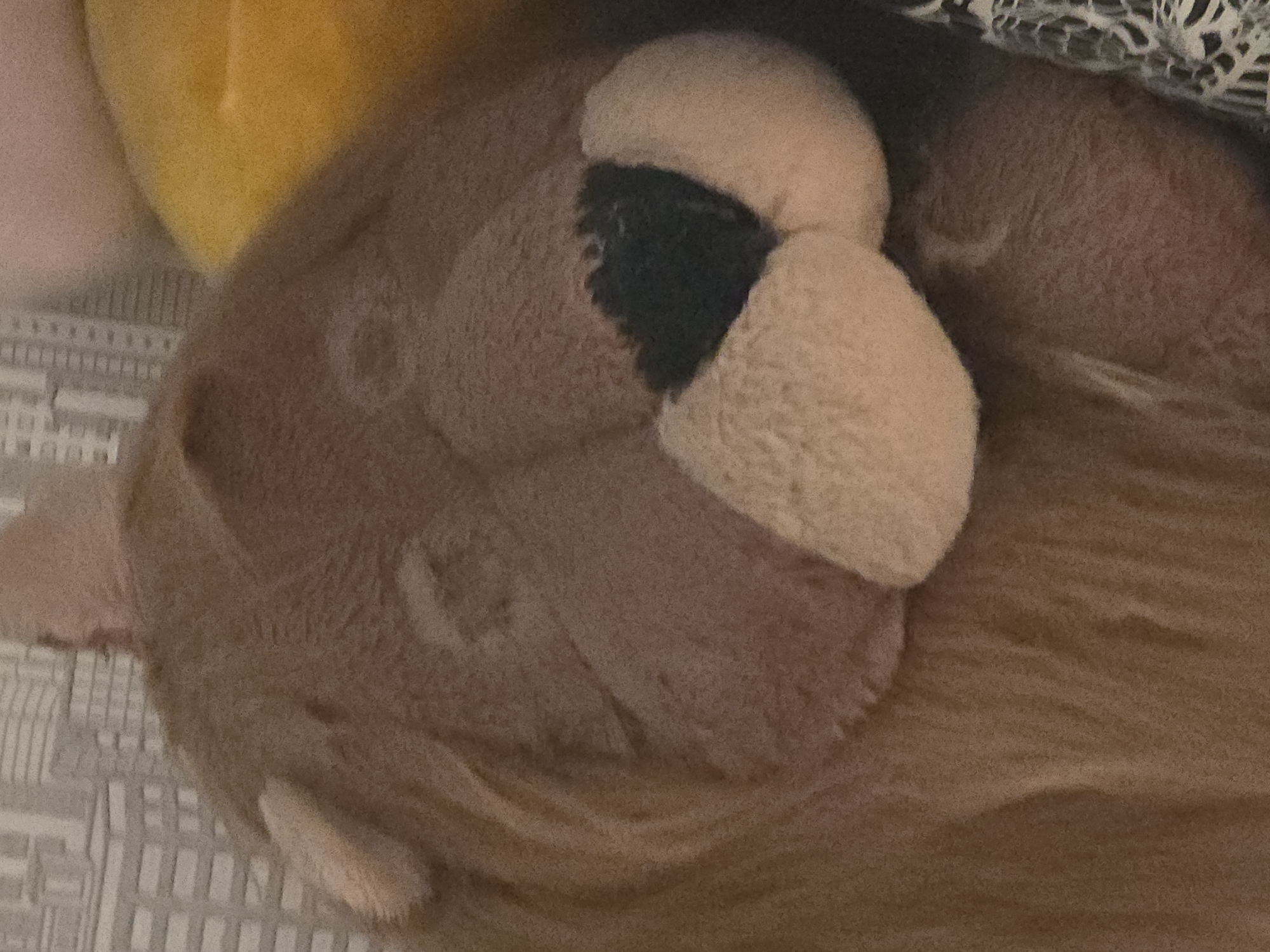 A close-up, head-on shot of a stuffed lion toy is the subject of this image. The lion is predominantly a tan and brown color with a fluffy mane and a lighter-colored muzzle and ears. The nose of the lion is a dark brown, almost black color, and is stitched onto the muzzle. The toy appears to be resting on a patterned surface, possibly a bedspread, which has a light gray and white design. To the right of the lion, a portion of a yellow stuffed toy is visible. The lighting in the image is dim and appears to be coming from above. The overall impression is of a soft, cuddly toy in a domestic setting.