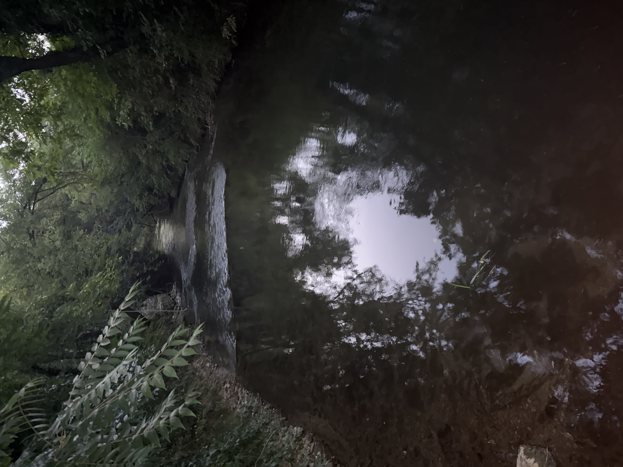 The image shows a calm river flowing through a densely wooded area. The water is dark and reflects the trees and sky. The riverbanks are lined with lush green foliage, with some rocks visible on the left bank. The overall impression is one of a tranquil, natural setting, possibly in a park or a rural area. There are no people or signs of human activity, except for what appears to be a faint line of a possibly man-made structure in the distance along the river.