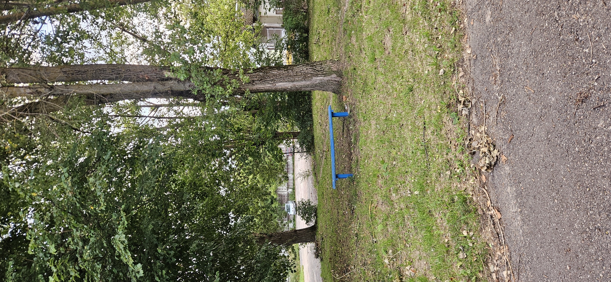 The image depicts an outdoor scene with a blue bench in the foreground, set against a backdrop of trees and grass. A paved area with fallen leaves is visible in the lower portion of the image. In the mid-ground, a light-colored car is parked near a concrete wall, and a building with a white roof and siding is partially visible in the upper right. The overall setting appears to be a park or a residential area. The image is undated and undated. There are no people present.