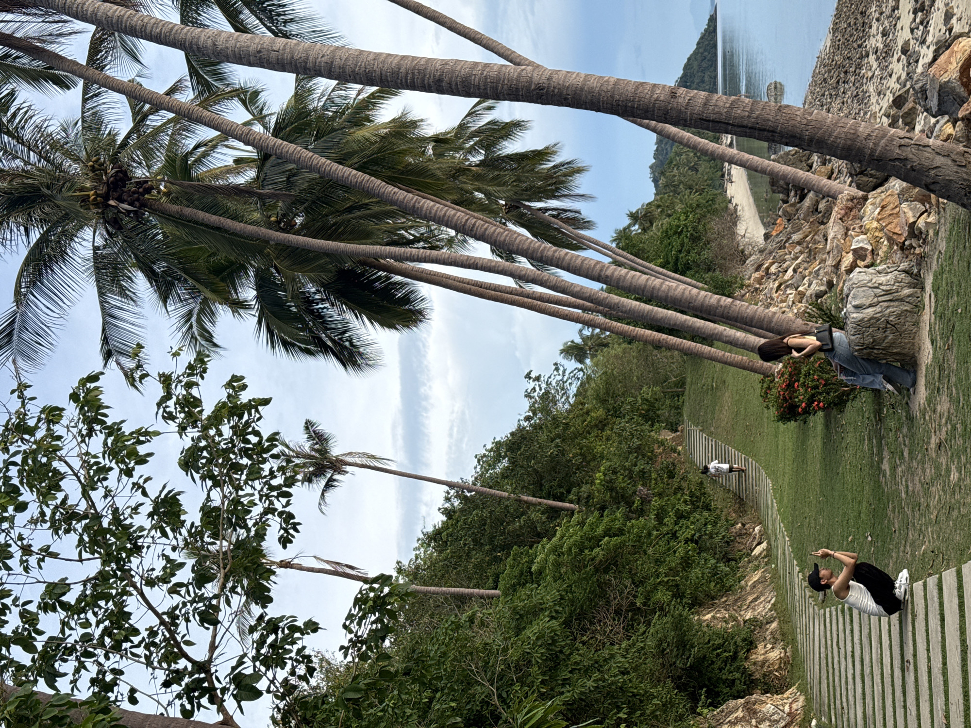 The image depicts a scenic outdoor setting at Baan Pang Ka, Thailand, characterized by a lush environment with numerous palm trees. The scene appears to be at ground level, with a pathway made of light-colored paving stones leading away from the viewer. Several people are visible in the image. In the foreground, a person is squatting on the pathway, wearing a white tank top, black pants, a black baseball cap, and white sneakers. They are holding up their right hand with two fingers extended and are looking towards the camera. Further up the pathway, another person in a white outfit and white shoes is visible. In the background, near a large boulder and some red flowers, a person wearing a dark top and jeans is standing.
The setting includes a grassy area next to the pathway and a rocky embankment on the left. Beyond the embankment, there is a sandy beach, a calm body of water, and a distant shoreline with vegetation. The sky is partly cloudy with a bright blue hue. The overall impression is one of a relaxed, tropical atmosphere, possibly during daytime. The composition of the image, with the palm trees leaning into the frame, adds a distinctive tropical feel. No visible text is present in the image.