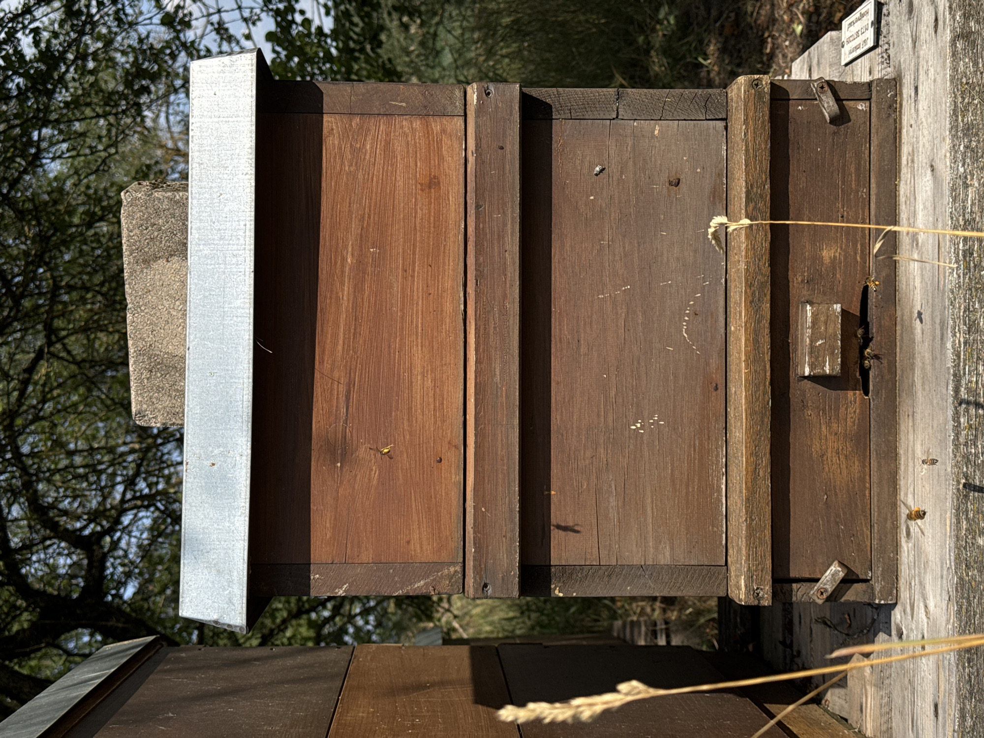 The image depicts a close-up view of a wooden beehive, likely located in Wettstetten, Germany, given the reference to "bienn-tuck.de" on one of the hive's panels, which suggests a German beekeeping supplier. The beehive is constructed from weathered brown wood, with three stacked rectangular boxes. A corrugated metal roof covers the topmost box. The hive is situated outdoors, with lush green foliage and trees visible in the background, suggesting a natural or garden setting. Several bees are captured in motion, either flying in front of the hive or near its entrance, indicating an active apiary. One bee is prominently displayed in the foreground, in flight. The lighting suggests a sunny day, with shadows cast by the hive and surrounding elements. There are no people visible in the image.