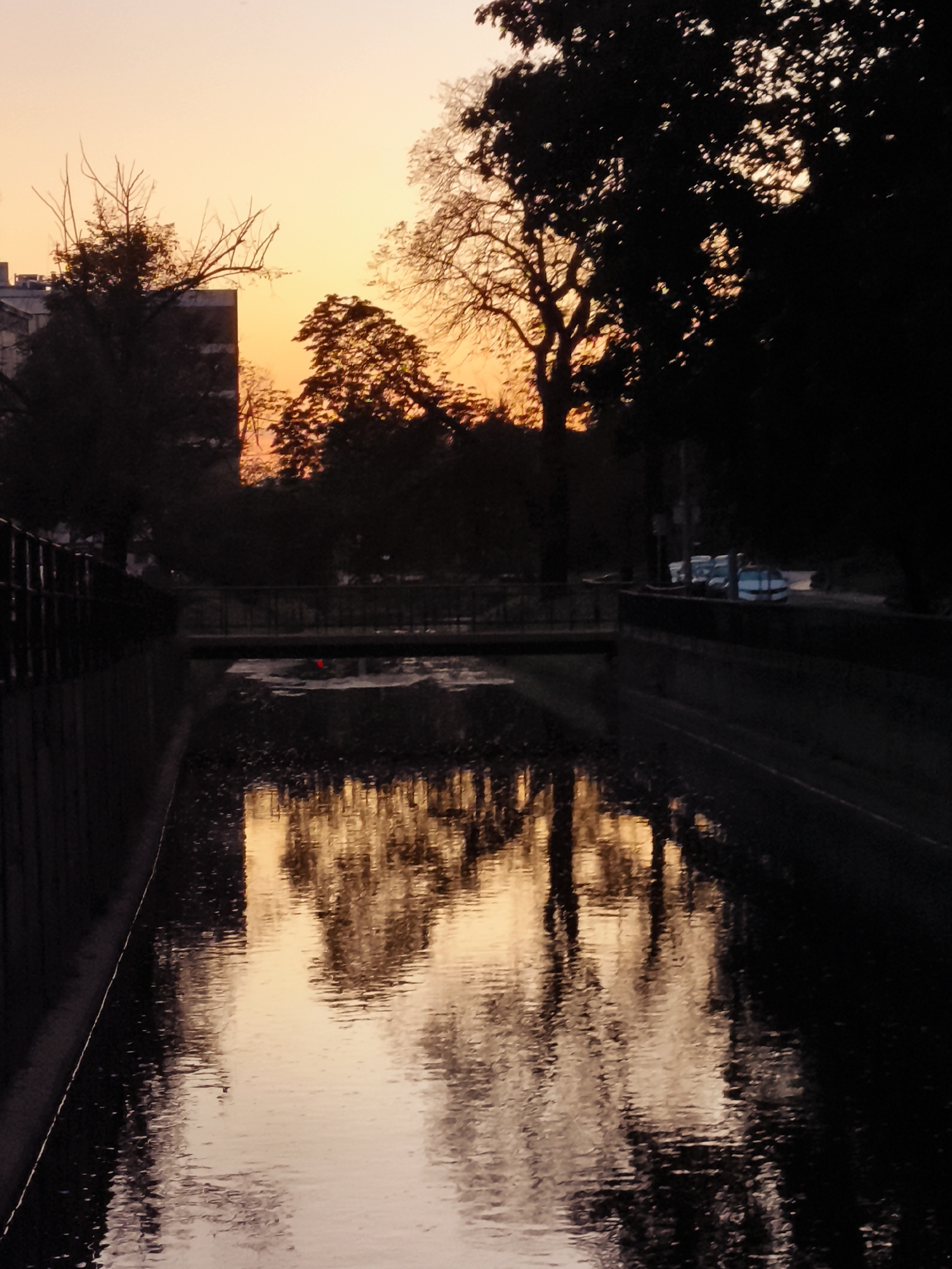 The image depicts a tranquil canal scene at dusk, with the warm hues of the setting sun reflecting on the water's surface. The canal is bordered by dark, silhouetted trees and a building on the left side of the frame, suggesting an urban park or a developed waterfront area within the city of Gdańsk, Poland. The reflections on the water are distorted, creating abstract patterns of light and shadow. A bridge is visible in the mid-ground, spanning the canal. On the far side of the canal, several vehicles, possibly cars or small boats, are parked or situated near the edge. The overall atmosphere is serene and still, characteristic of a peaceful evening in a European city.