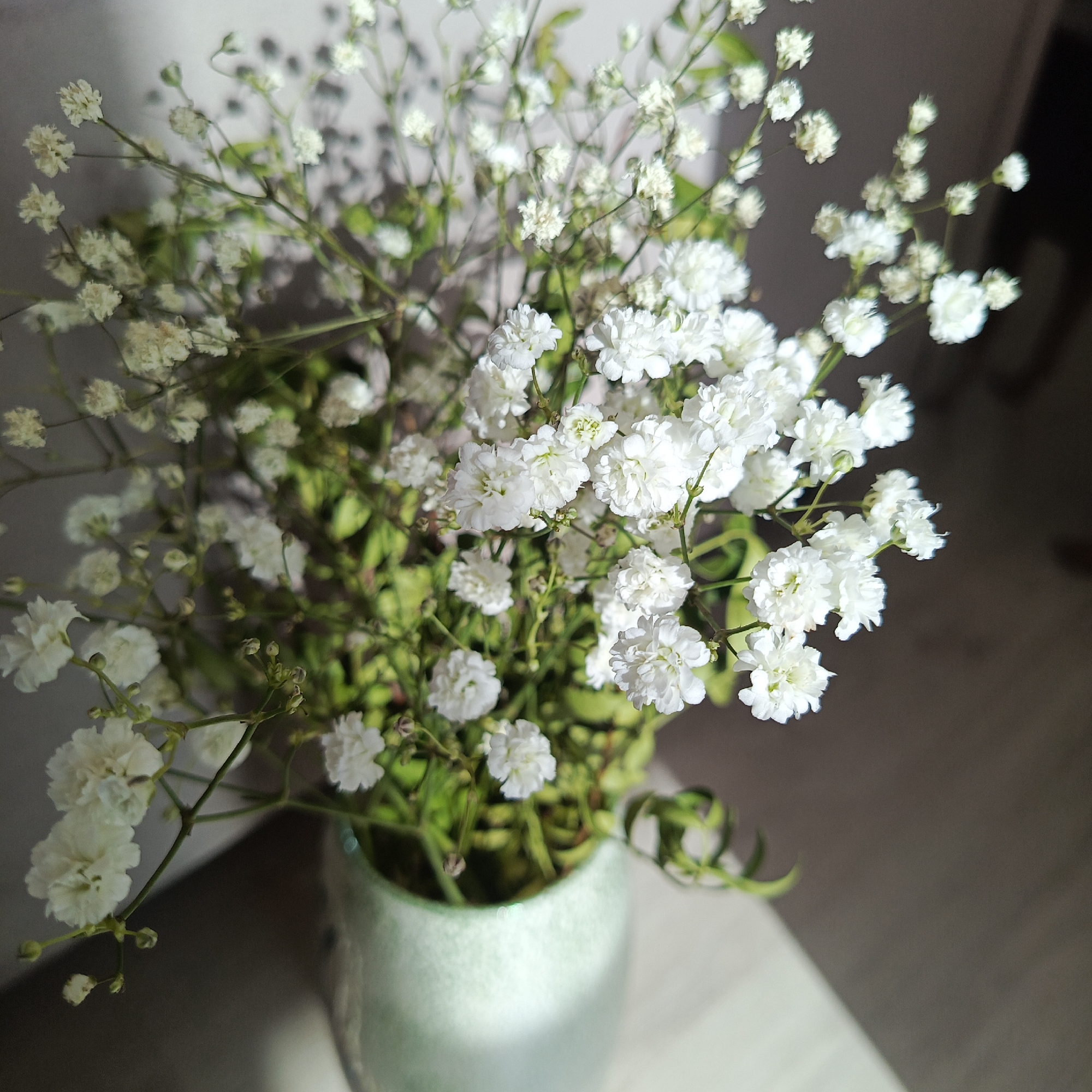 The image shows a vase filled with baby's breath flowers. The vase is light green, and the flowers are white and arranged in a dense bouquet. The background consists of a wall with soft shadows, and a portion of a table. The lighting appears to be natural, possibly sunlight. The image was taken in an indoor setting.
While Марковский, Russia, is mentioned as a location, there is no data from the image to place it there.