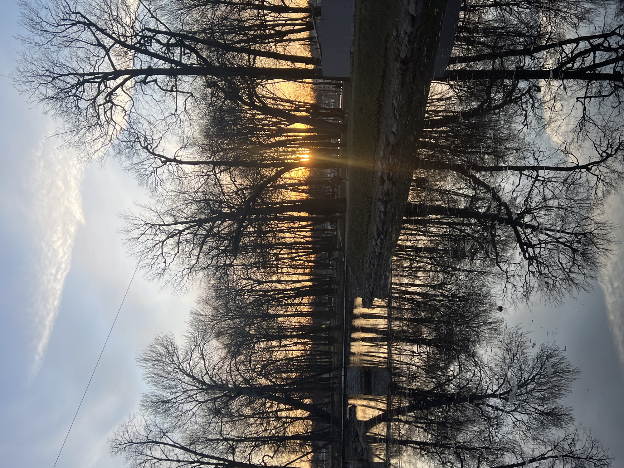 The image captures a serene landscape along a canal or river in Saint Petersburg, Russia, during what appears to be either sunrise or sunset. The scene is horizontally composed, featuring a long line of tall, bare deciduous trees that dominate the frame. Their dark, intricate branches are silhouetted against a softly lit sky and reflect distinctly in the calm water.
A golden sun, low in the sky, is visible between the trunks of the trees, radiating warm light and prominent sunbeams across the water's surface. This light creates a stark contrast with the dark silhouettes of the trees. The water itself acts as a mirror, reflecting the entire treeline, the bright sky, and the golden hues of the sun.
Along the bank, a strip of grassy land is visible, with some rocks marking the water's edge. Faint outlines of structures or buildings can be seen in the distance through the trees, particularly near the horizon where the sun is. The sky is partly cloudy, with streaks of white clouds visible through the tree canopy. The bare branches suggest a late autumn, winter, or early spring setting. There is no visible human activity or text in the image. The overall impression is one of peaceful tranquility and natural beauty, emphasizing the play of light and shadow during the golden hour.
