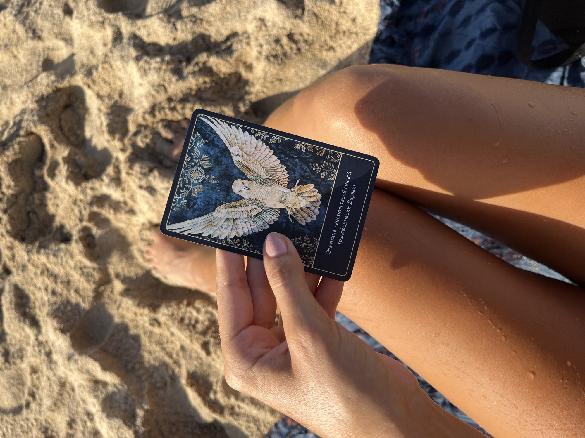 A person holds a card with a bird image in their hand while sitting on a sandy beach. The text on the card is in Russian. The beach is in Kuta Selatan, Indonesia. The person's tanned legs are visible, and there are water droplets on their skin. The sand is coarse and textured.