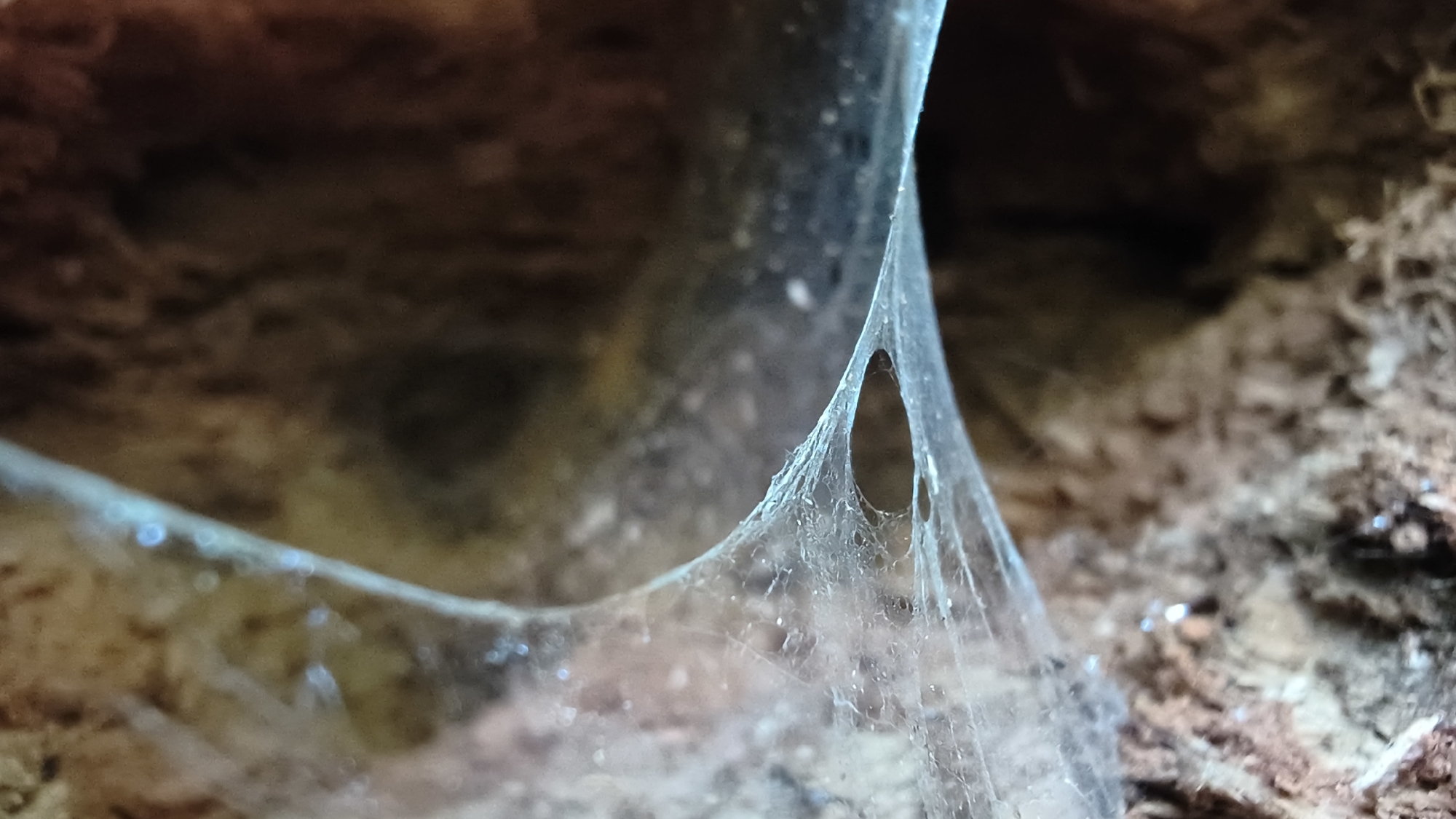 The image shows a close-up of a spiderweb with a hole in the center, illuminated by a soft blue light. The background is out of focus and appears to be dark, earthy material, possibly soil or bark. The spiderweb is delicate and translucent, with some strands appearing thicker than others. There are also small, shimmering particles on the web, possibly dewdrops or dust. The overall impression is one of stillness and intricate natural construction. The location in Mikhaylovka, Russia is not depicted in the image.