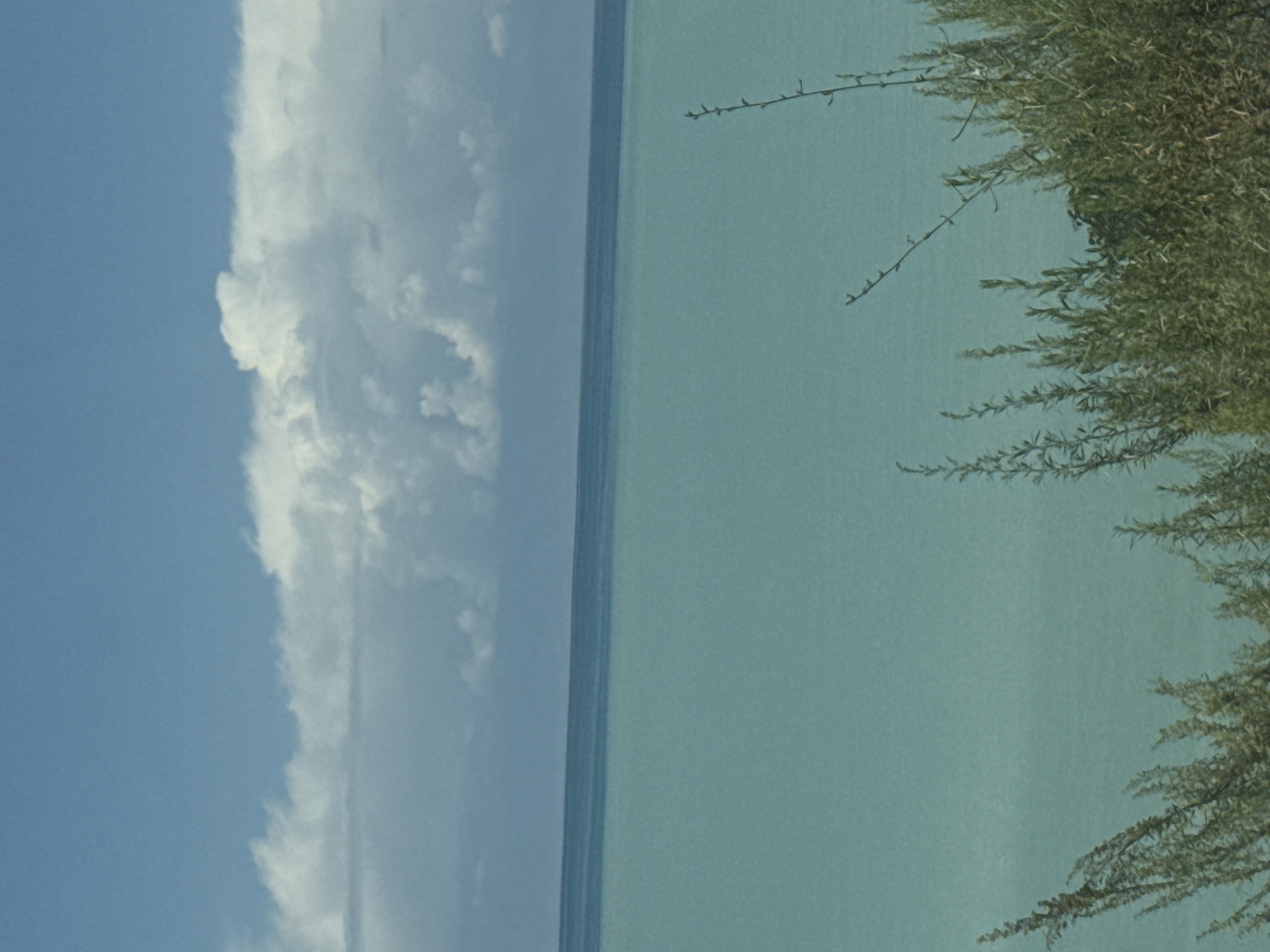 A tranquil scene depicts a wide expanse of turquoise water meeting a soft blue sky. The water occupies the majority of the frame, with a distinct horizon line separating it from the sky above. The sky is adorned with scattered white clouds, some appearing fluffy and cumulus-like, others more wispy. In the foreground, the lower portion of the image is filled with lush green foliage, characterized by slender stems and feathery leaves, suggesting a natural, uncultivated environment. The overall impression is one of serene natural beauty. The location is identified as Chon Jargylchak, Kyrgyzstan.