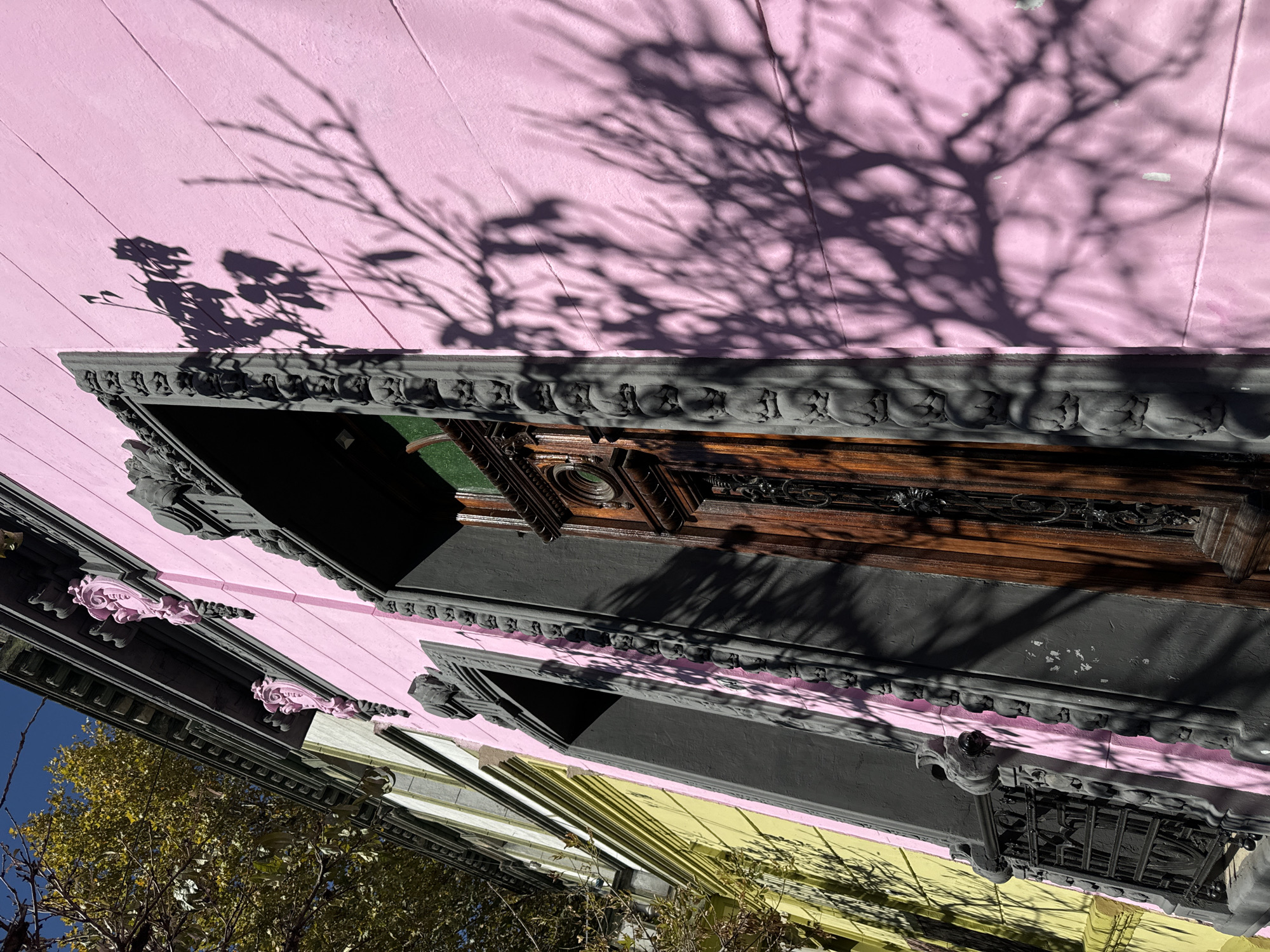 The image shows an upward-angled view of buildings in a city, likely in Buenos Aires, Argentina given the architectural style and colors. The buildings have a style reminiscent of European architecture. One building is painted pink, another yellow, with ornate dark-colored trim and carvings around windows and features. The windows are recessed and appear dark. The shadow of a tree branch is cast on the pink facade. Some foliage, likely from the tree casting the shadow, is visible at the bottom of the frame against a blue sky.