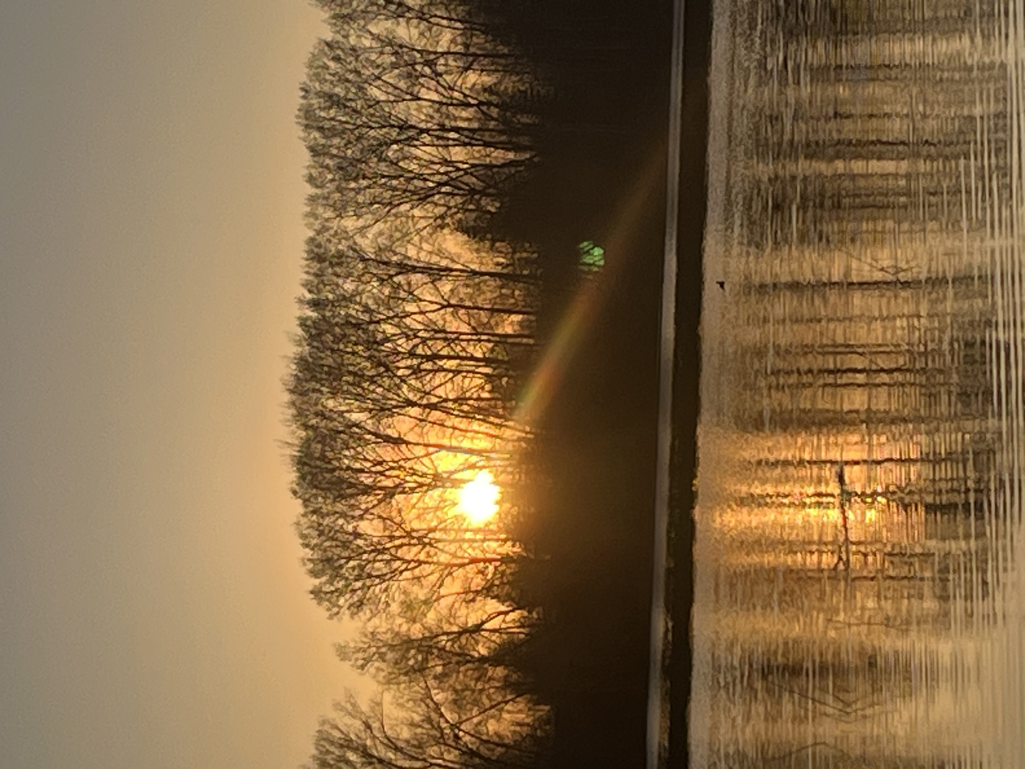 The image shows a sunset or sunrise over a body of water, likely a river or lake, with trees silhouetted against the light. The light is reflected in the water, creating a mirroring effect. There is a green light in the trees. The photograph may have been taken in the city of Chaikovsky, Russia. The environment suggests a natural setting with possibly a forest or wooded area. There is a dark vertical line between the water and land.